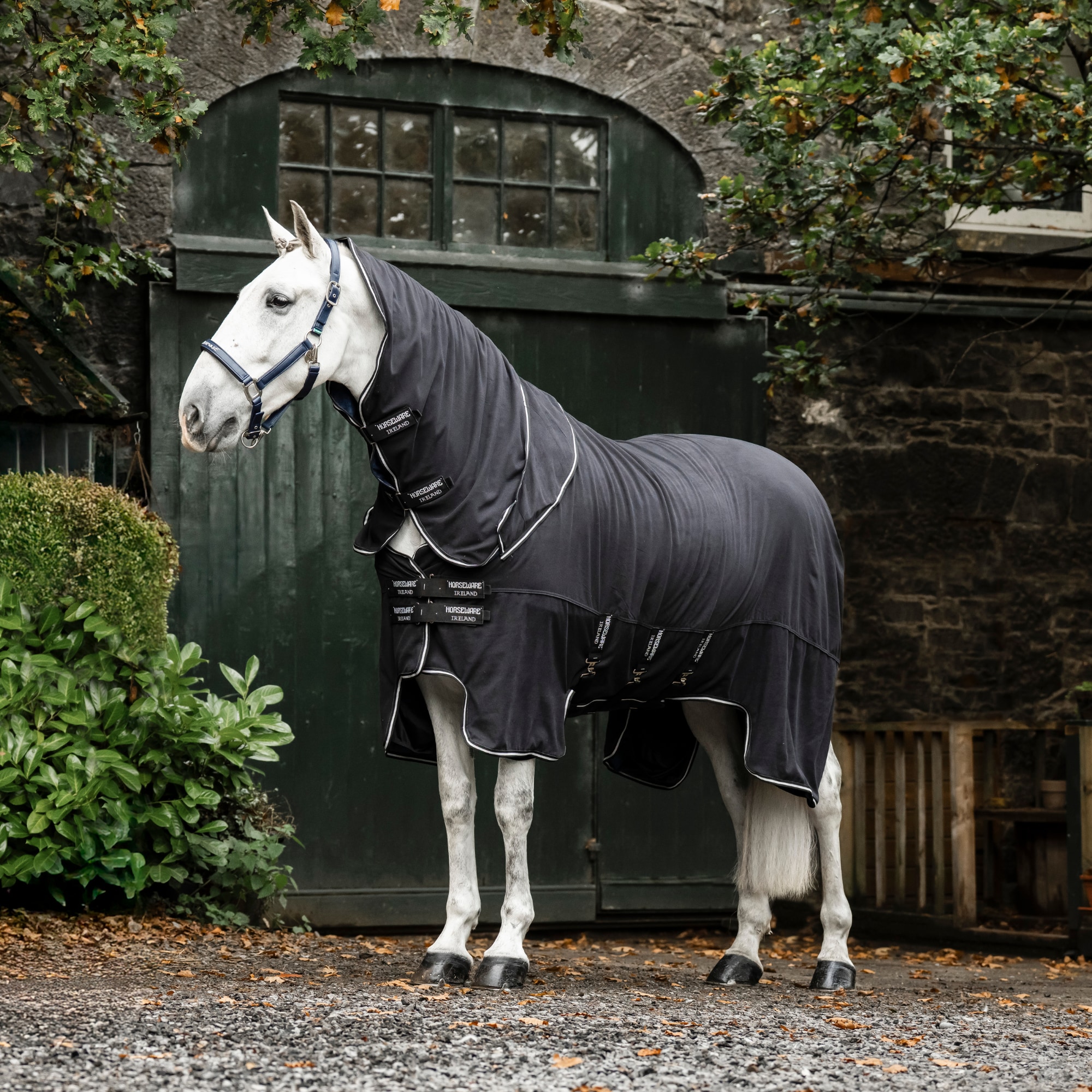 Show Ready Rug - Black