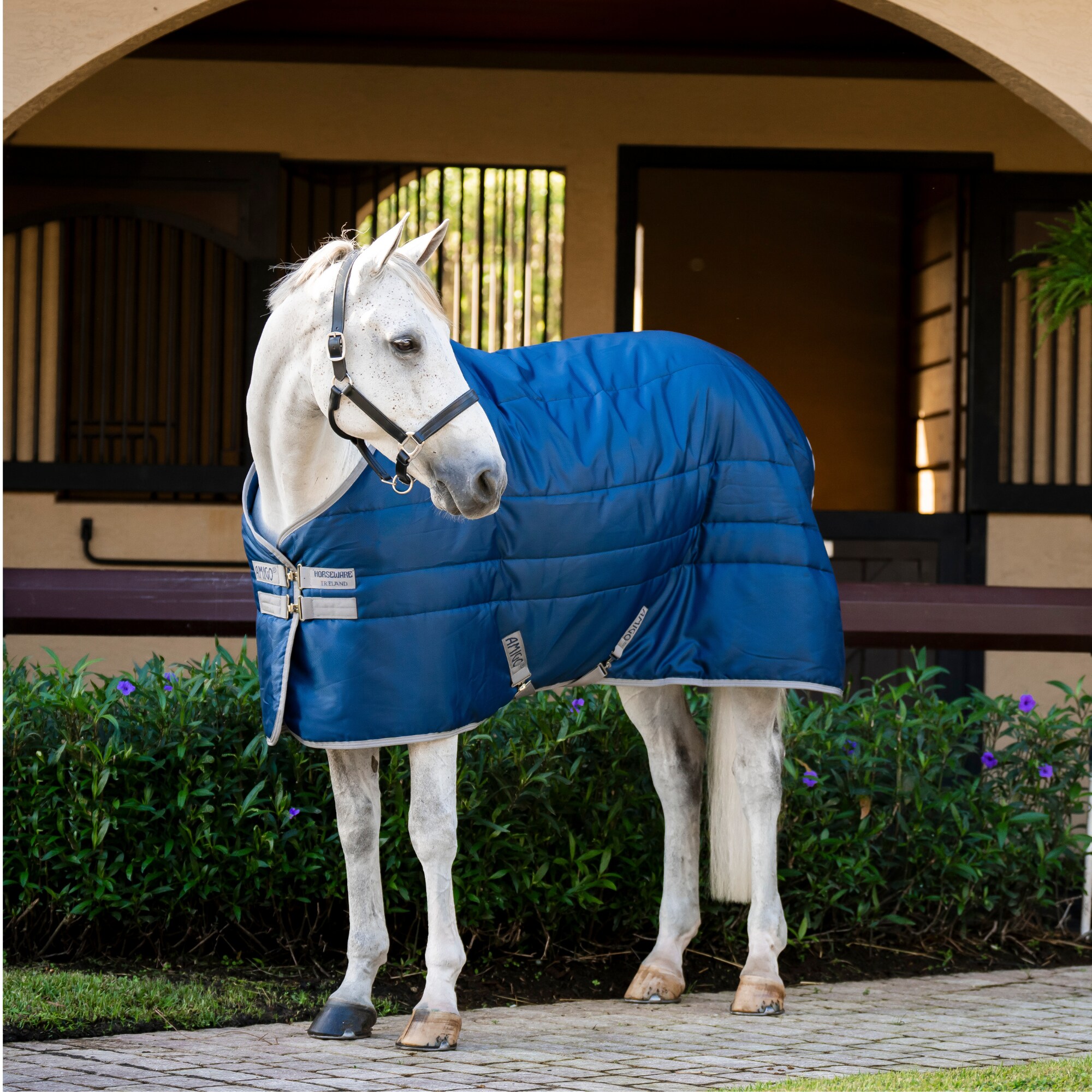 Amigo RS Insulator Pony - 100gr - Marin