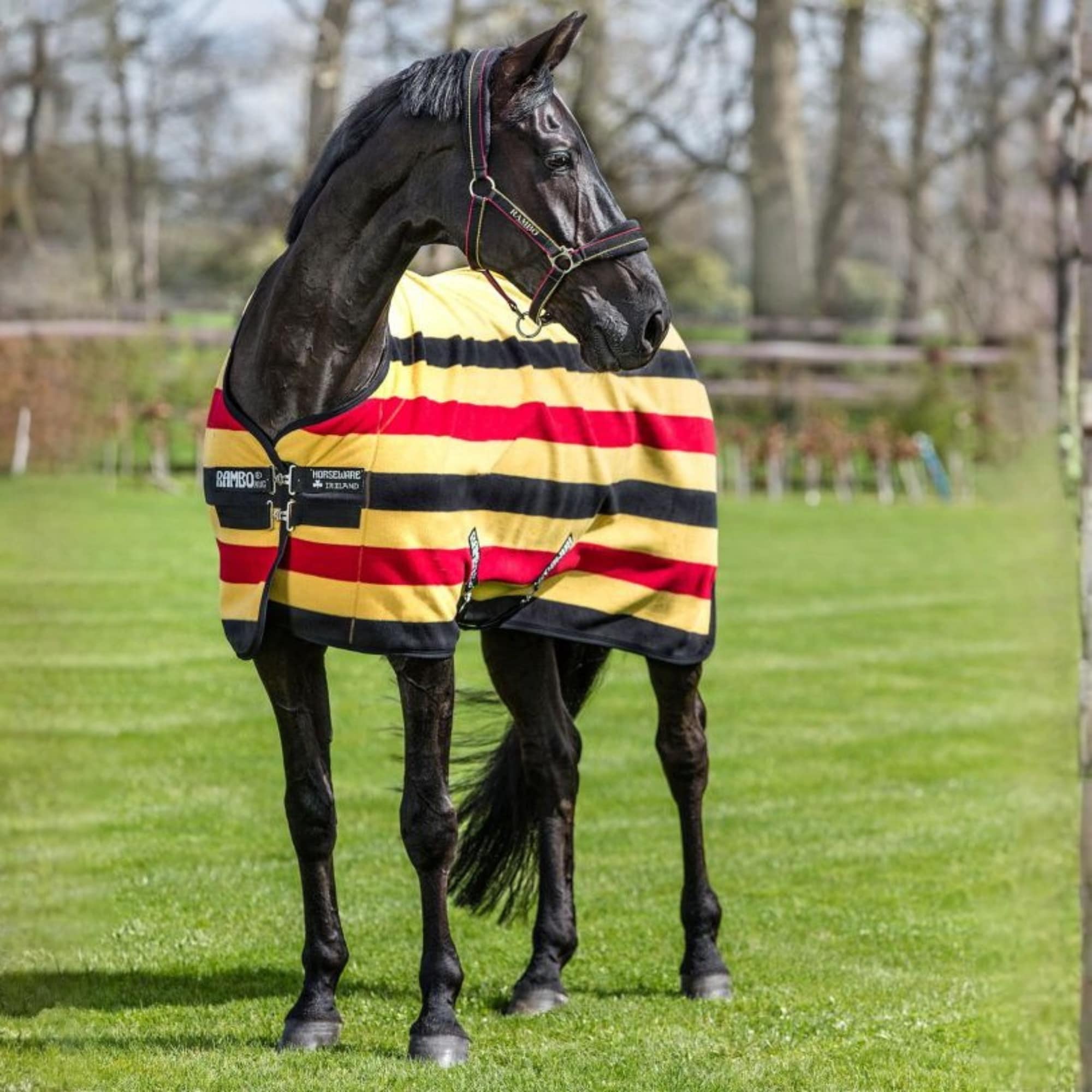 Rambo Deluxe Fleece - Witney Gold