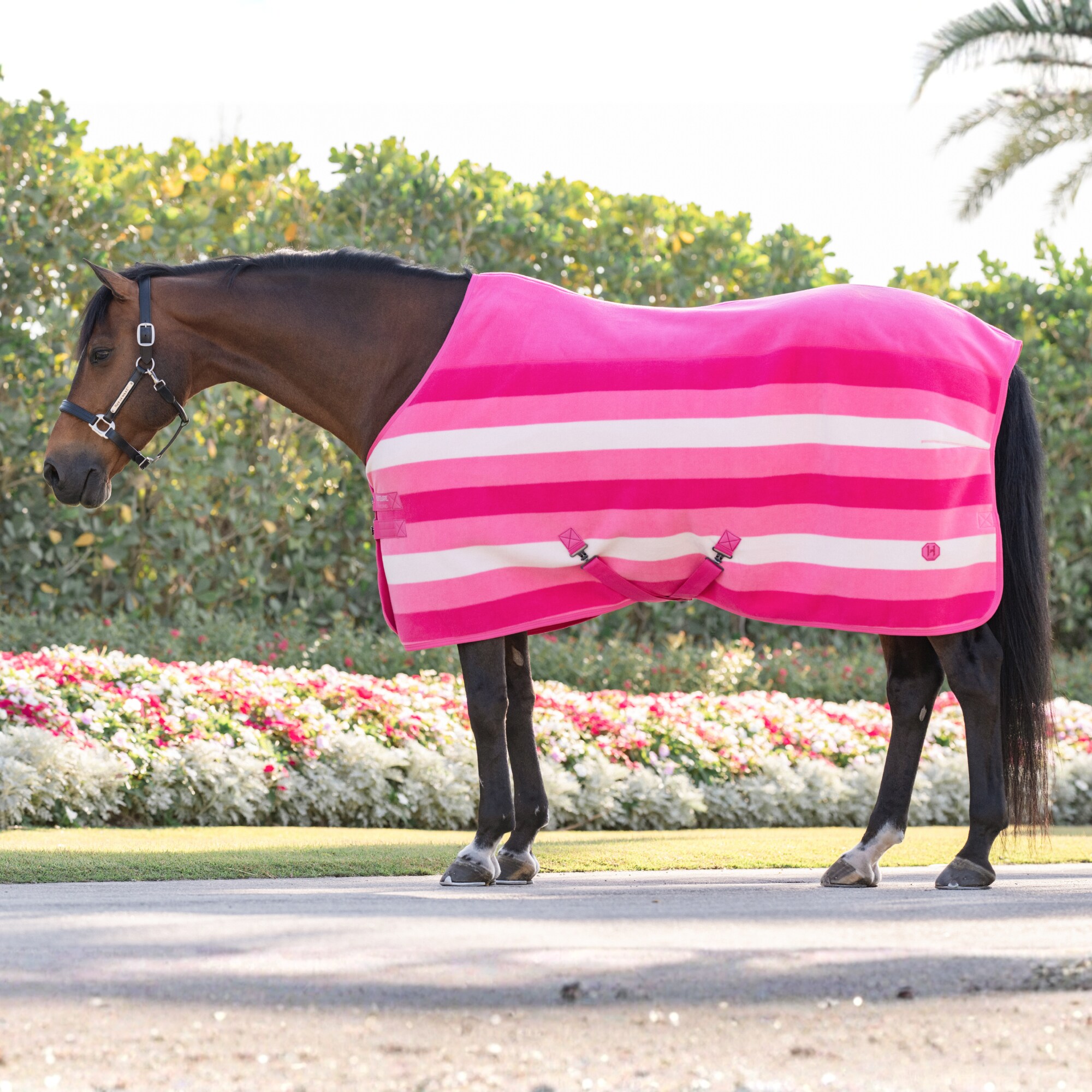 Newmarket Fleece Cooler - Witney Pink
