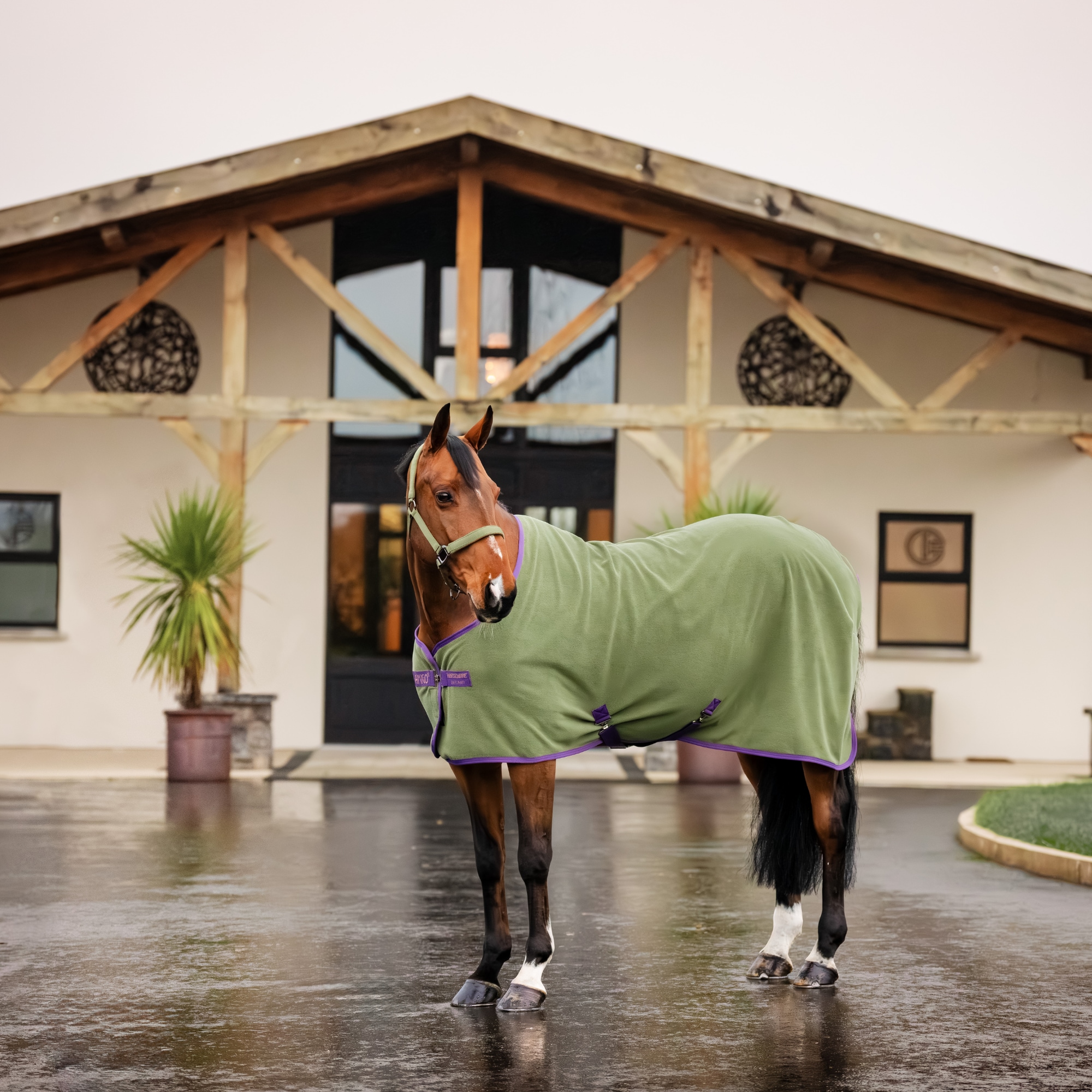 amigo-fleece-cooler