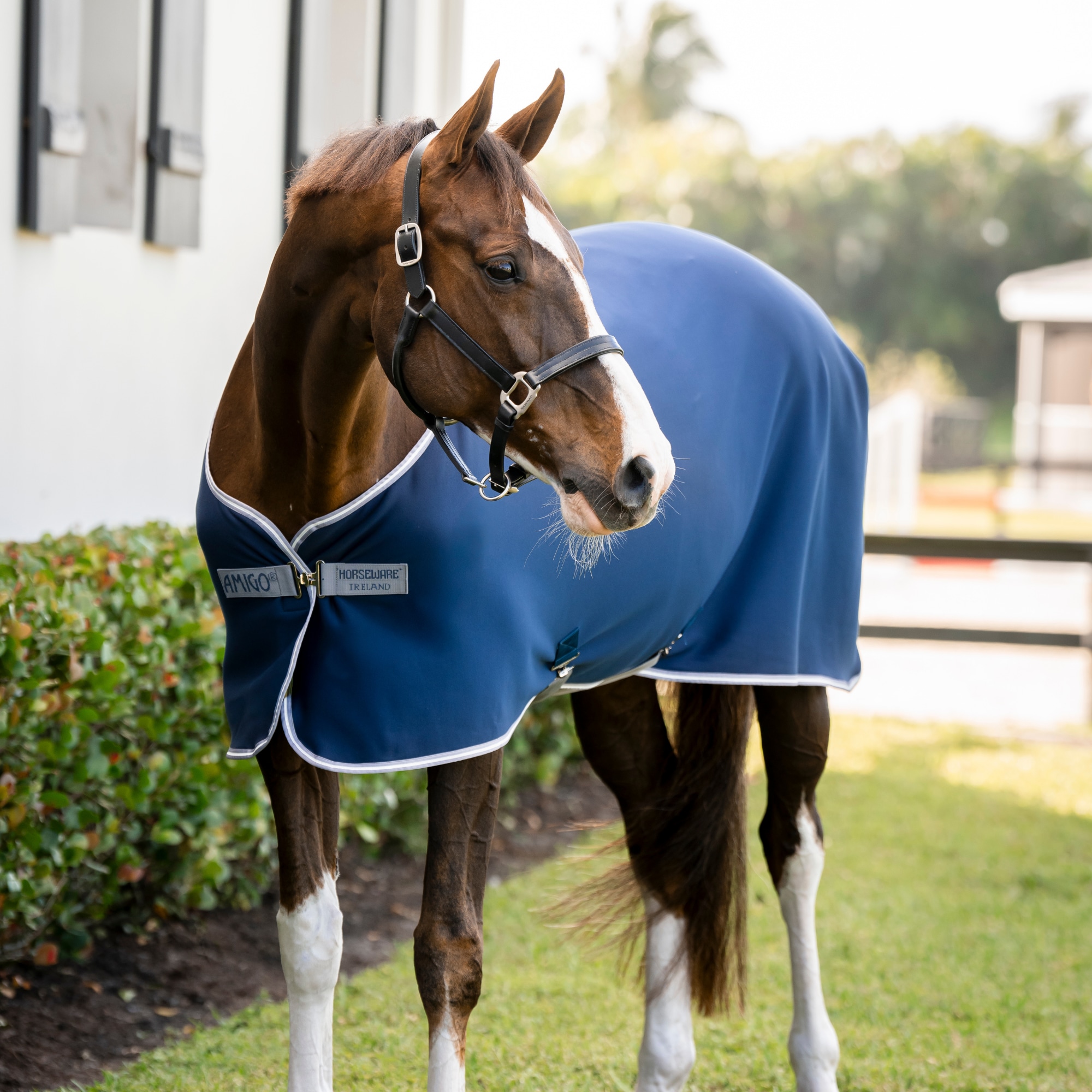 amigo-jersey-cooler-navy-titanium