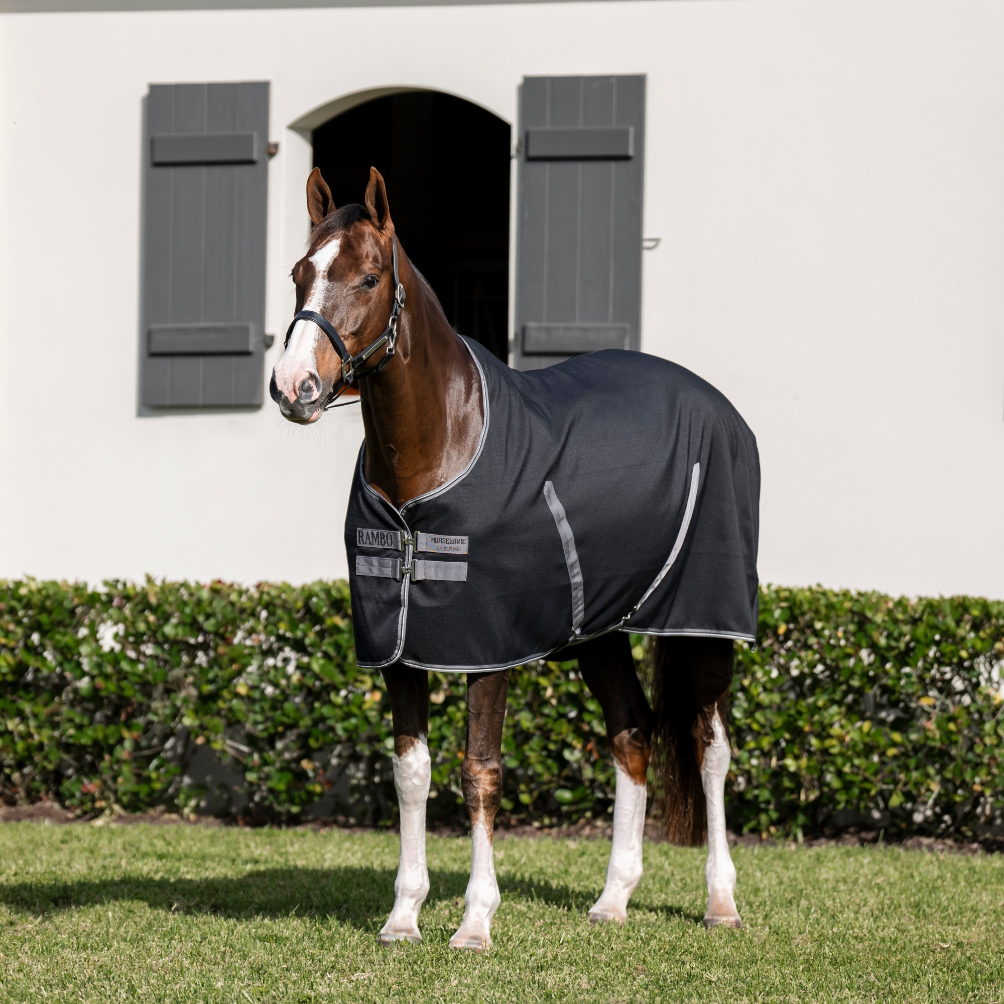 Rambo Stable Sheet - Black/Thunderstorm