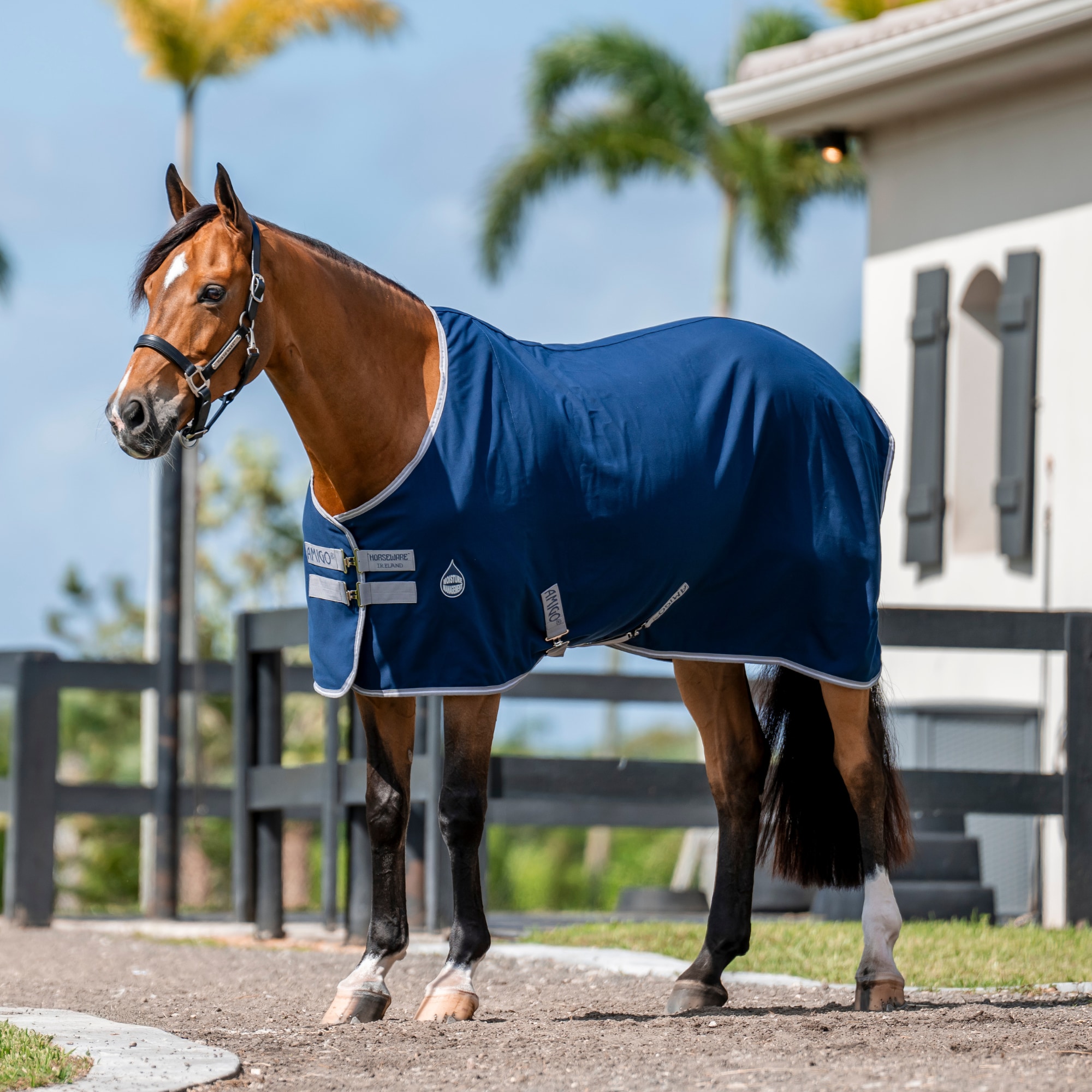 Amigo Stable Sheet - Navy/Titanium/Grey/Silver