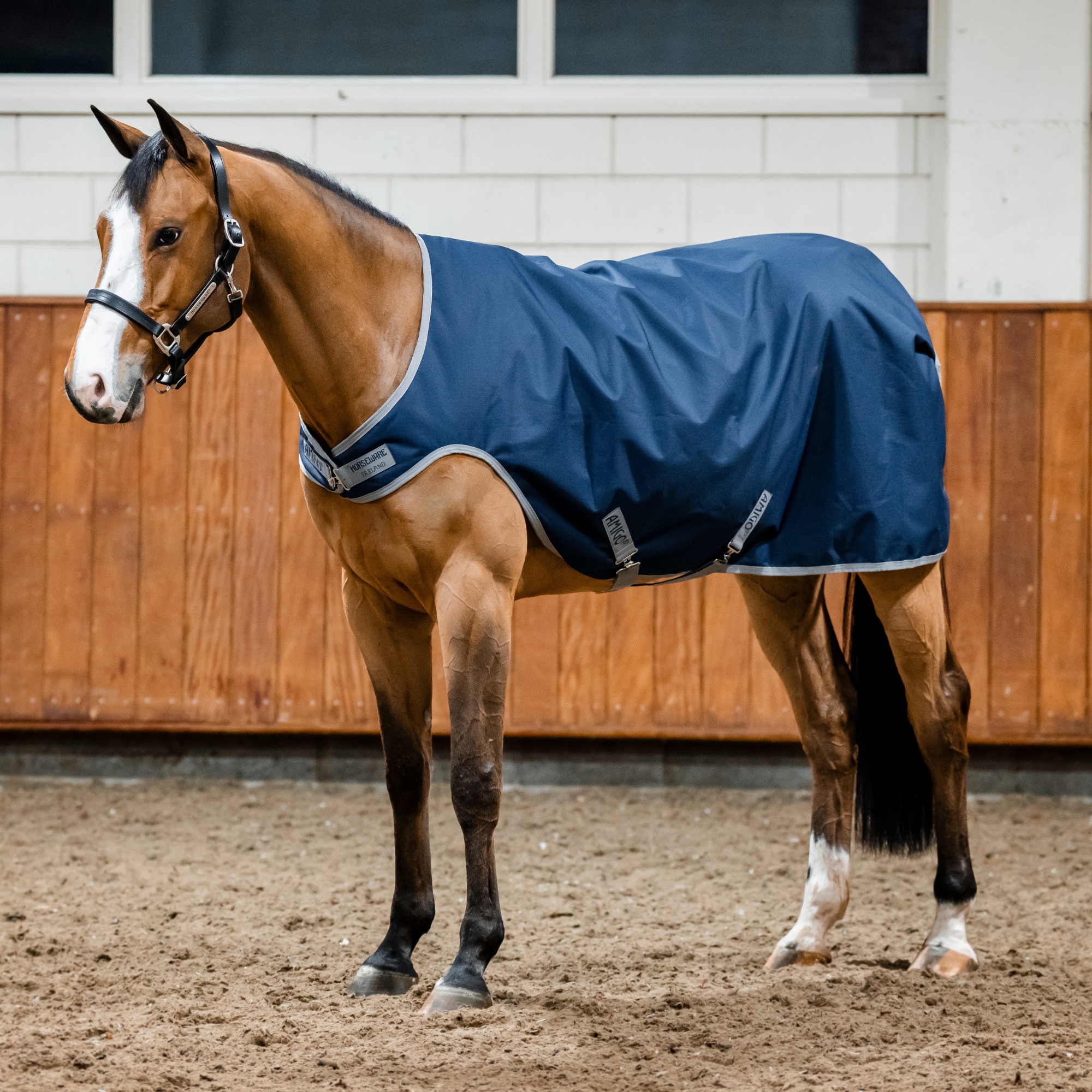 Amigo Walker Rug - 100g - Marin