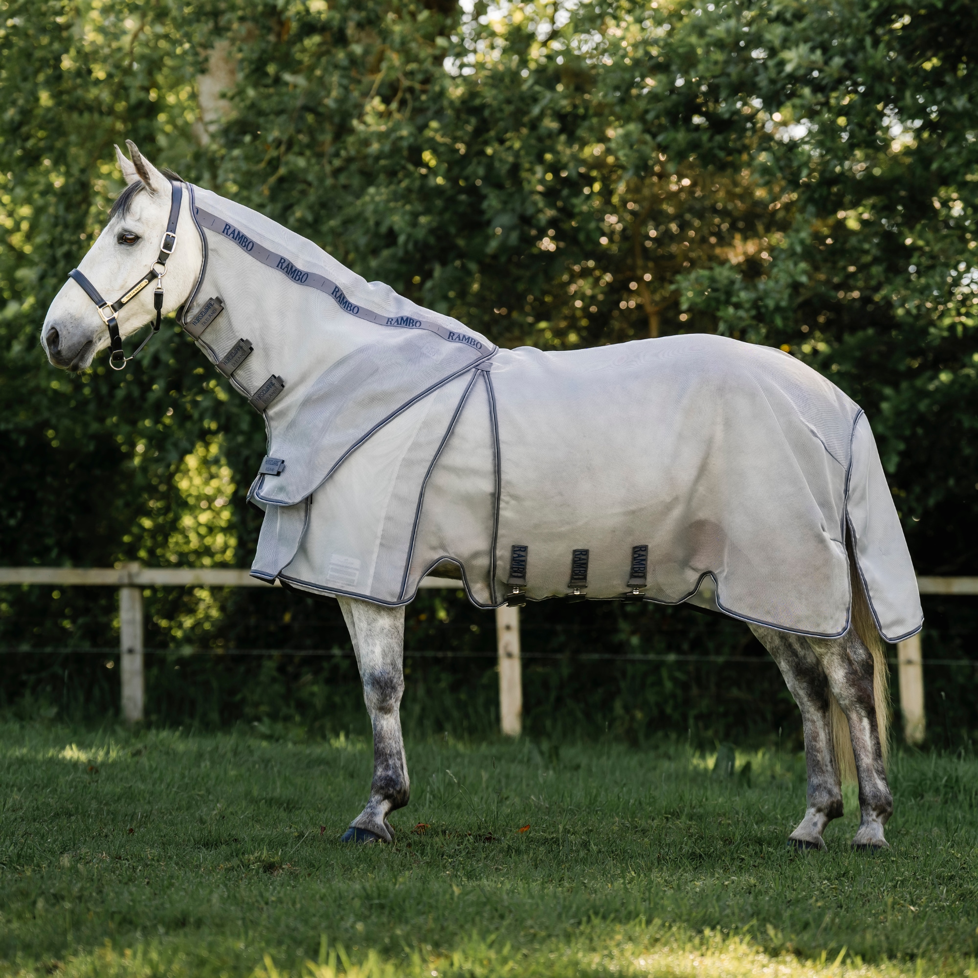 Rambo Optimo Protector Plus - Silver/Thunderstorm