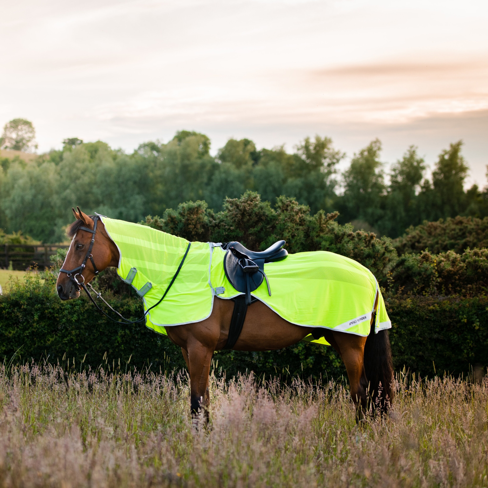 Häst med reflexgult flugridtäcke - Amigo Flyrider