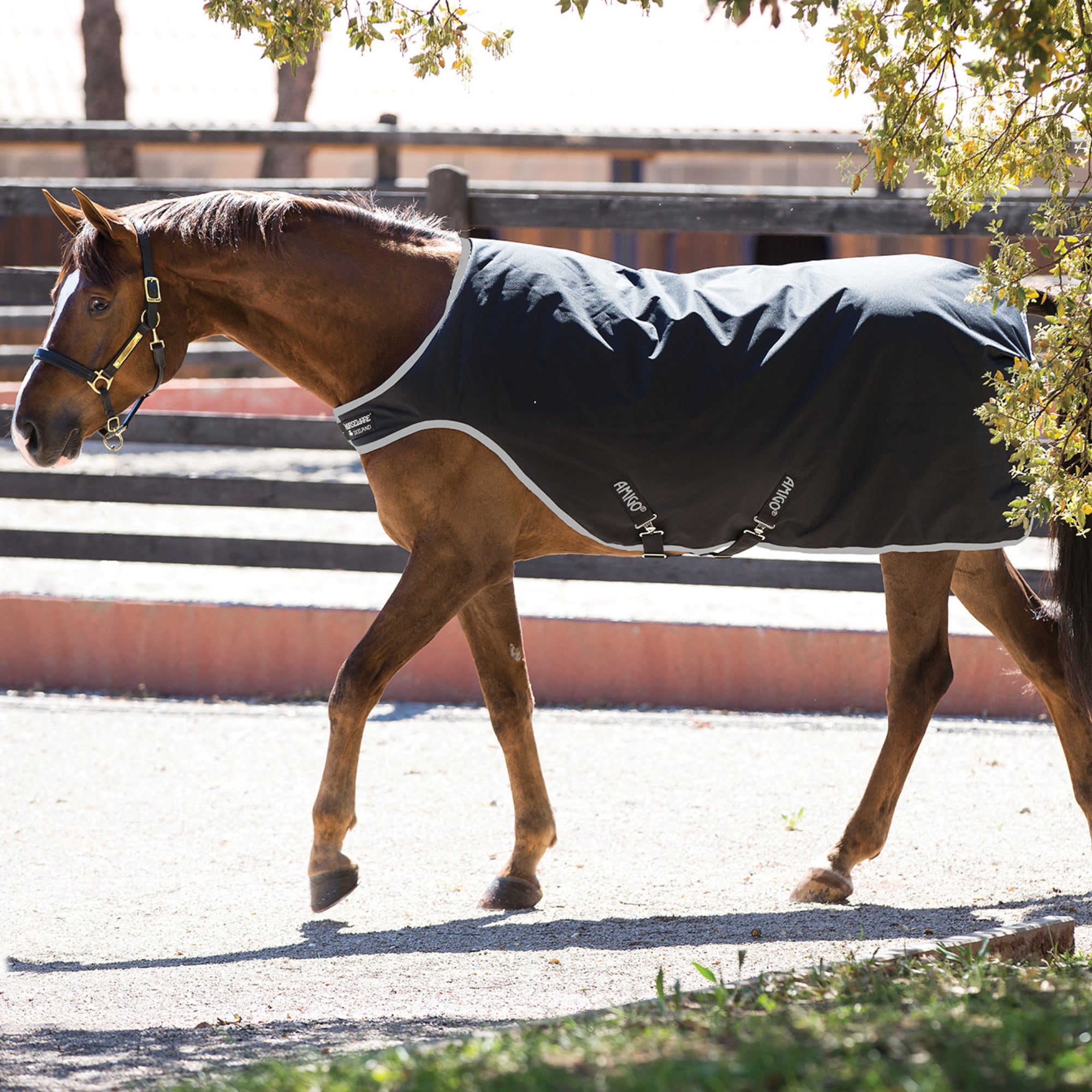 Amigo Walker Rug 200 gr - Svart
