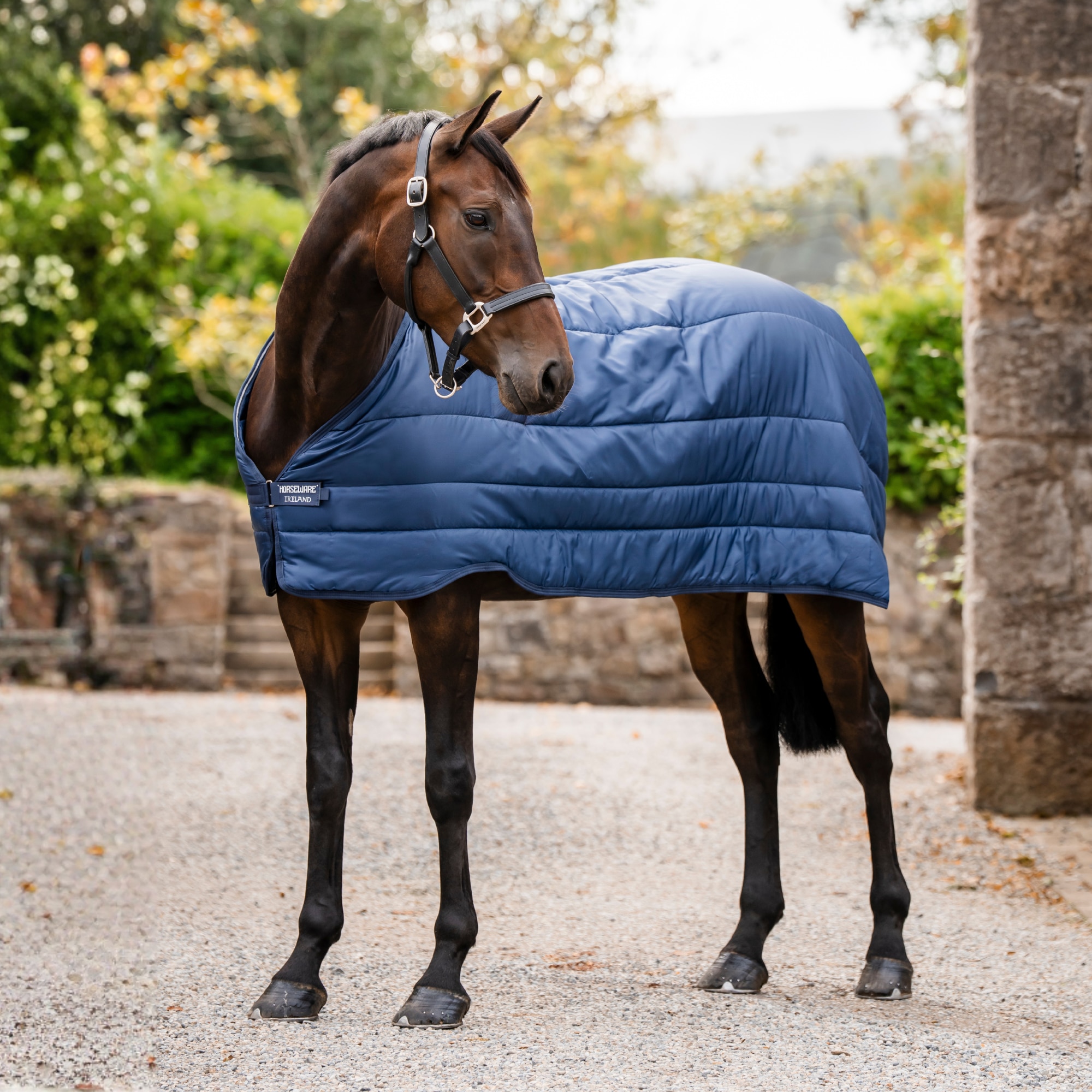 Horseware Liner - Navy - 50 gr
