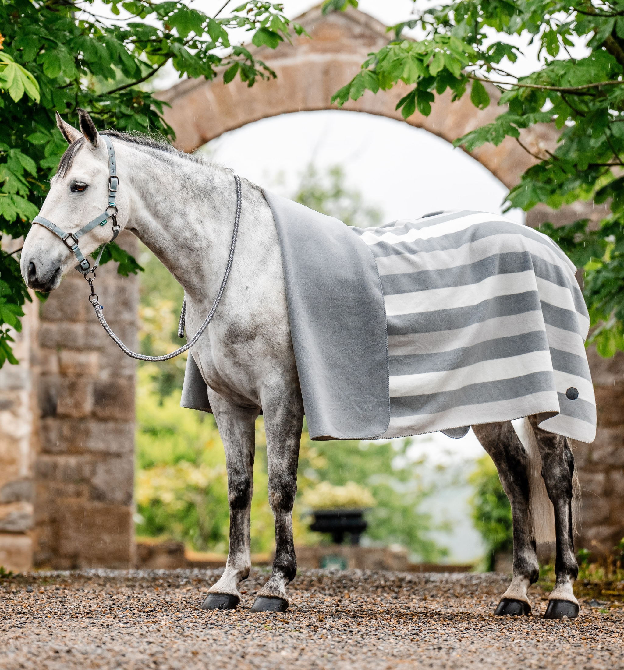 Newmarket Fleece - Witney Charcoal