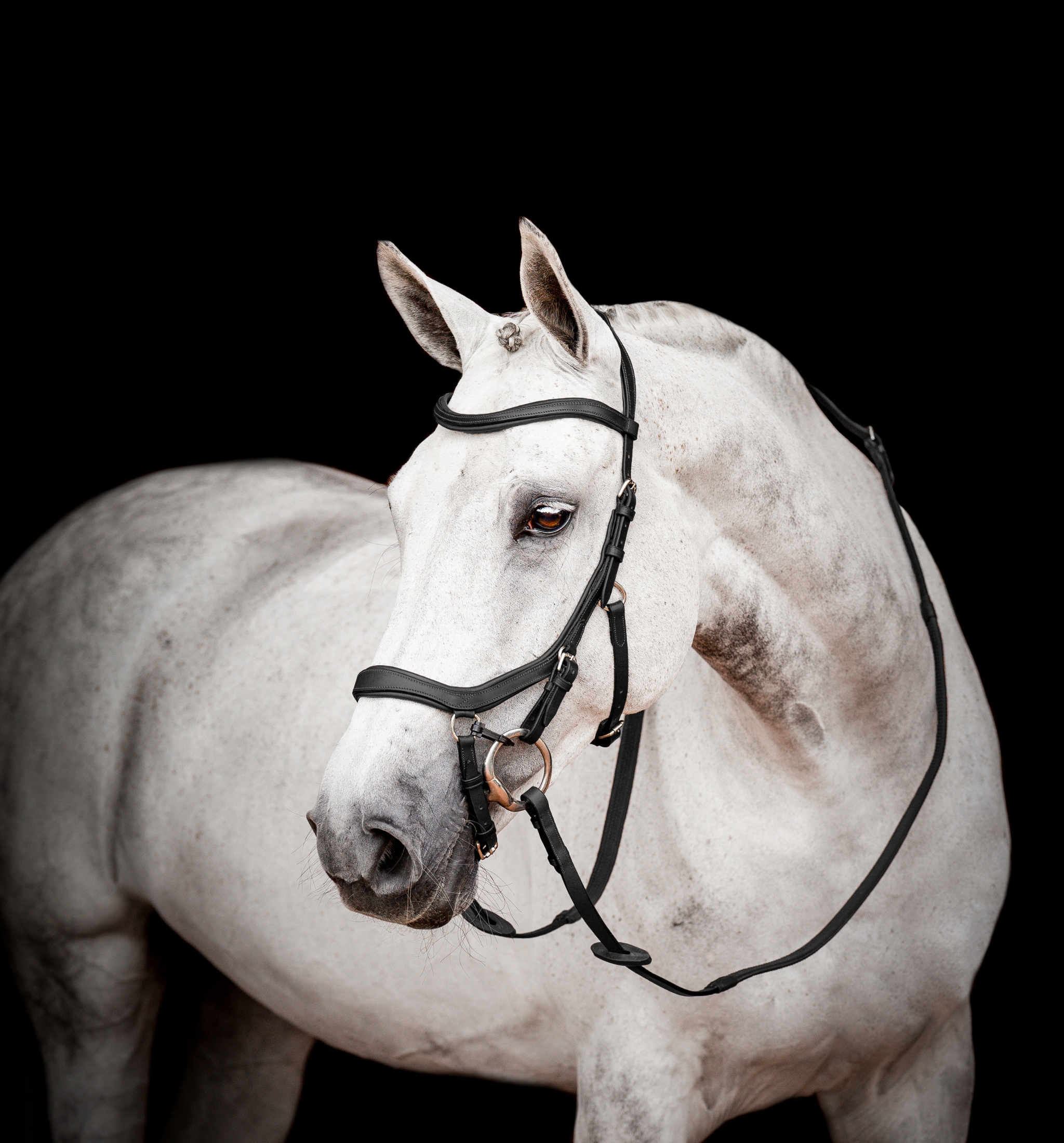 Rambo Micklem2 Comp Bridle - Svart