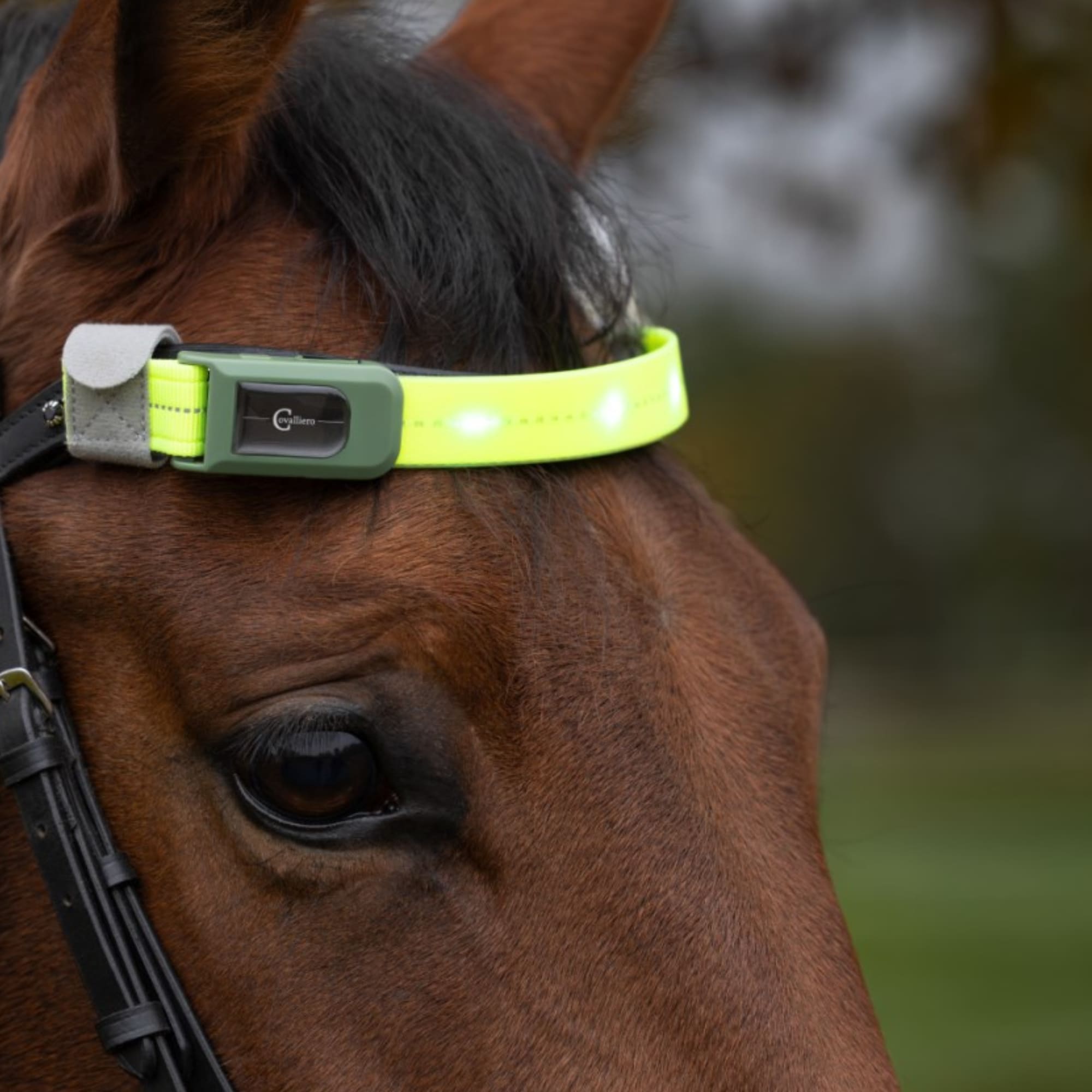 Brow Strap LED