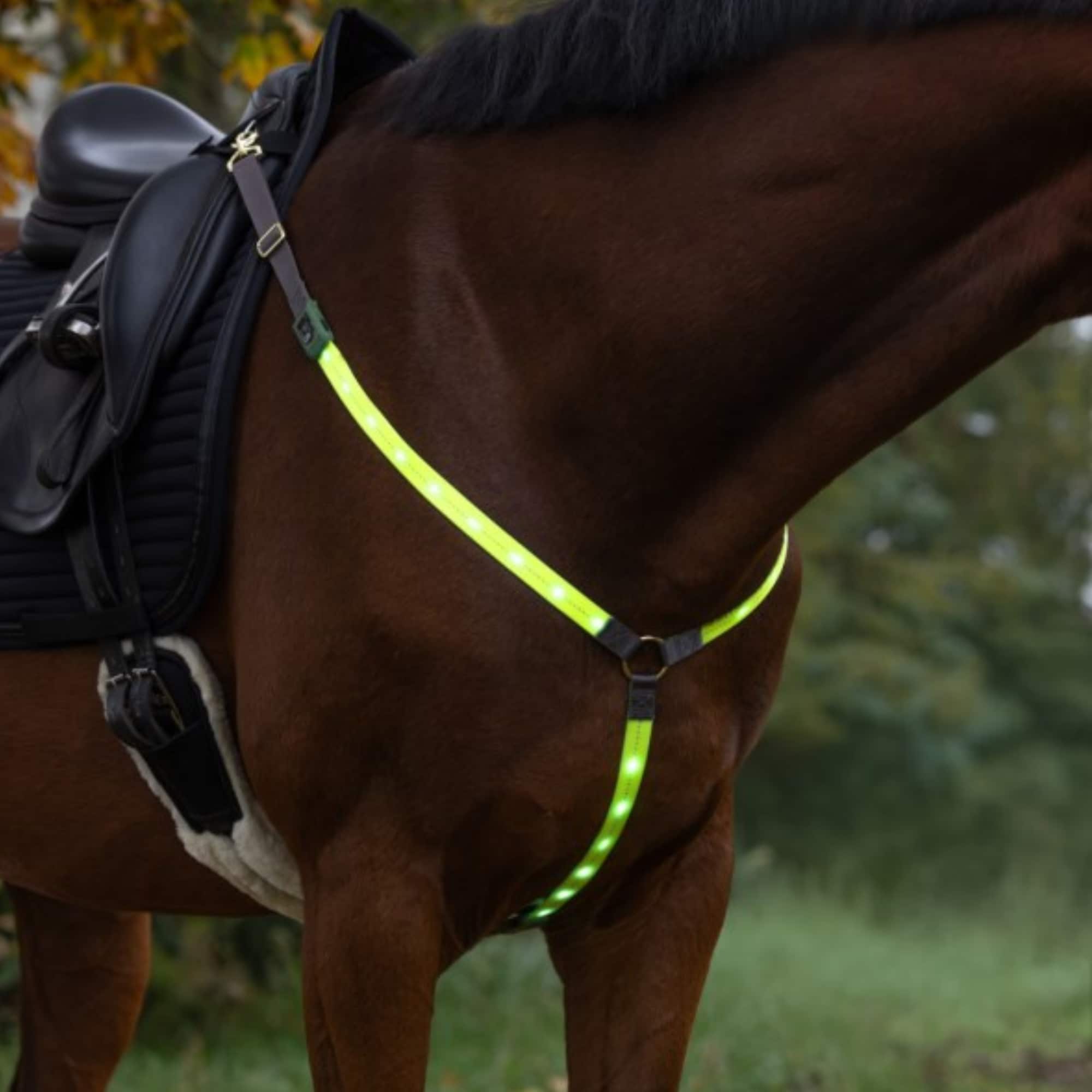 Breast plate with led