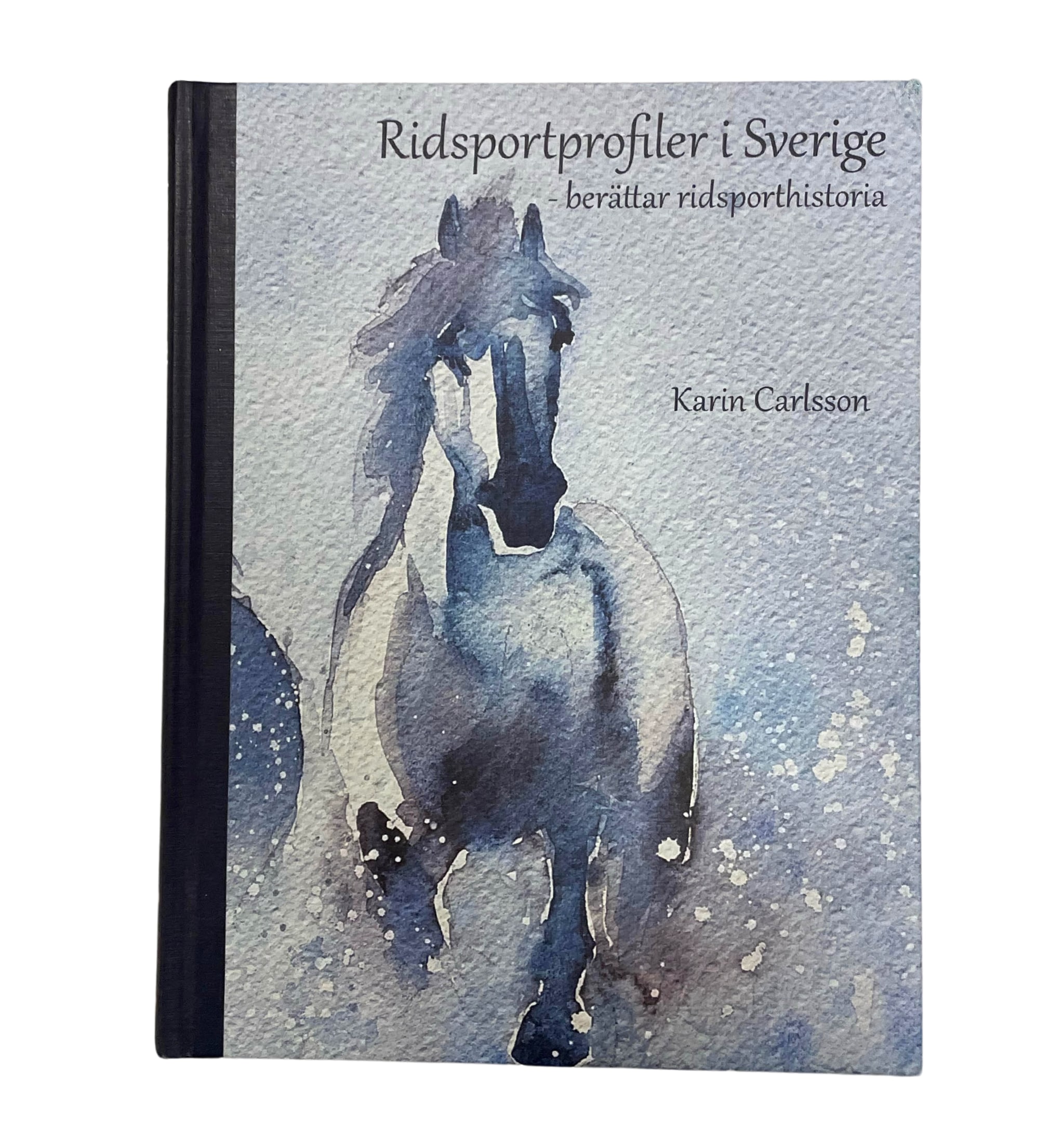 Equestrian Profiles in Sweden 