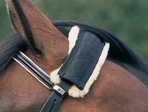 Neck protector, Bridle