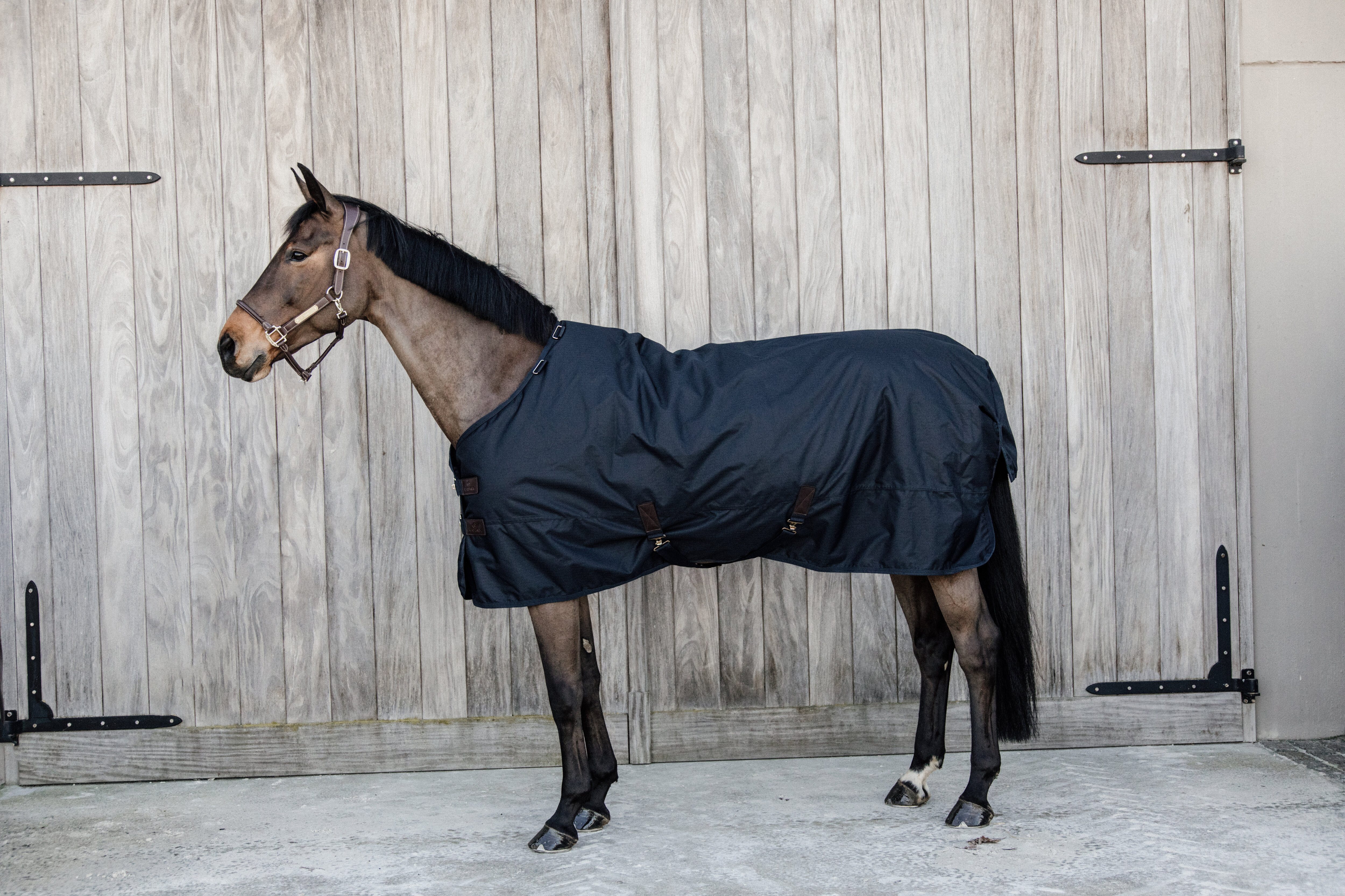 Turnout Rug All Weather WP 300 gr