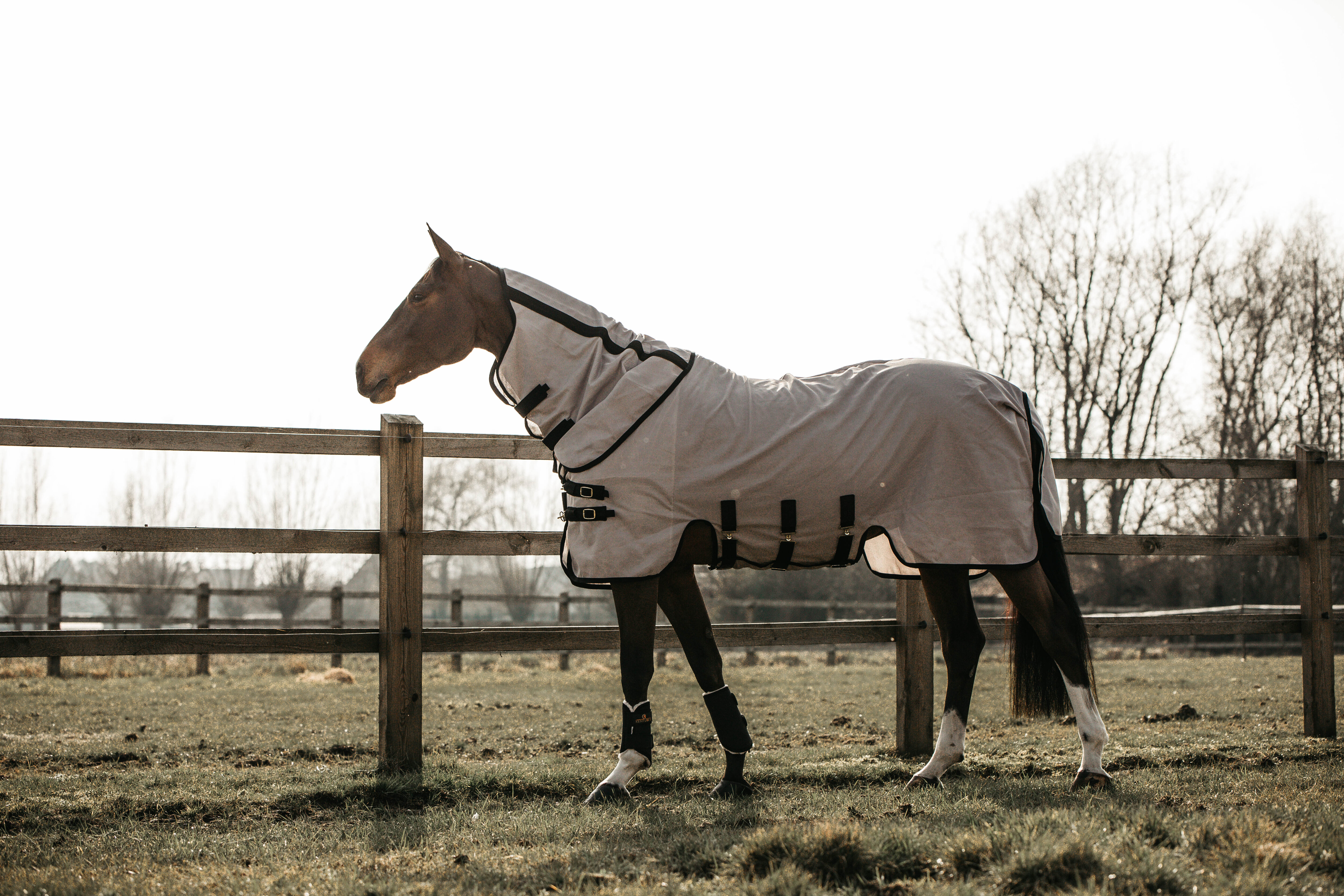 Mesh Fly Rug - Beige