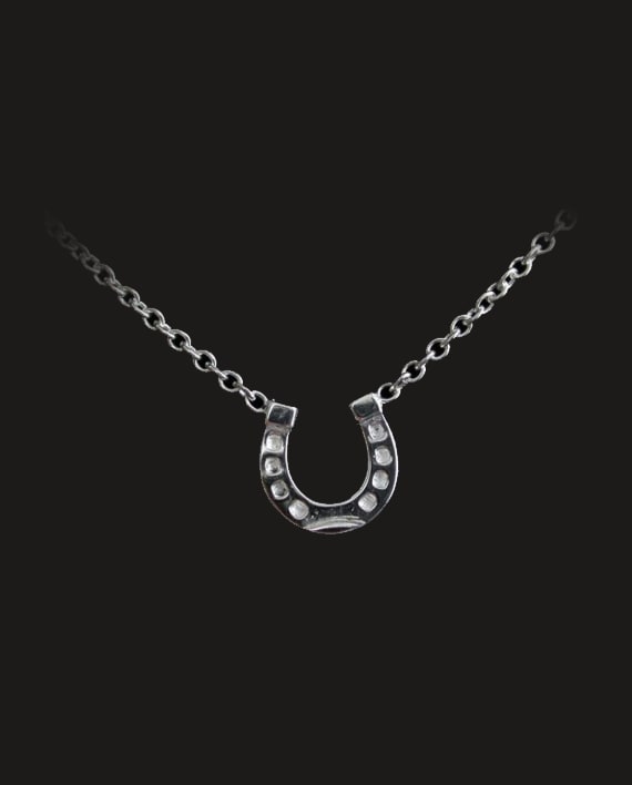 Horseshoe Necklace