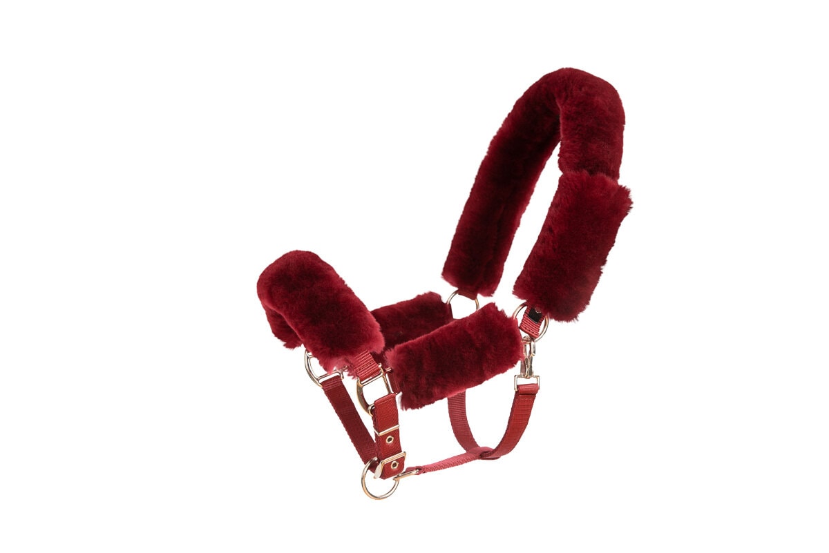 Sheepskin Halter & Lead rope - Burgundy