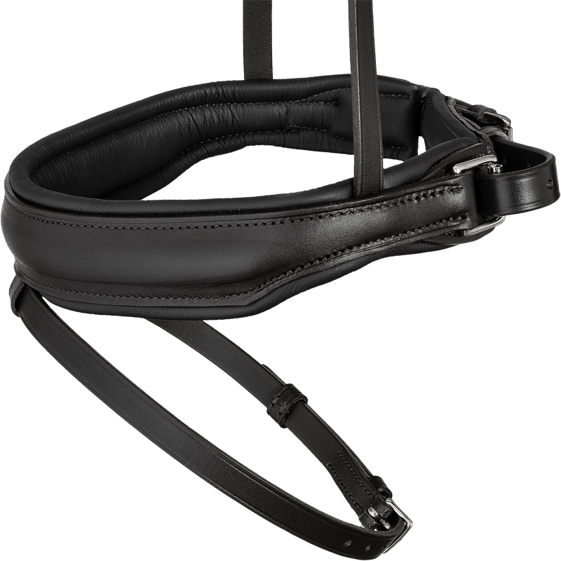 Ergonomic noseband