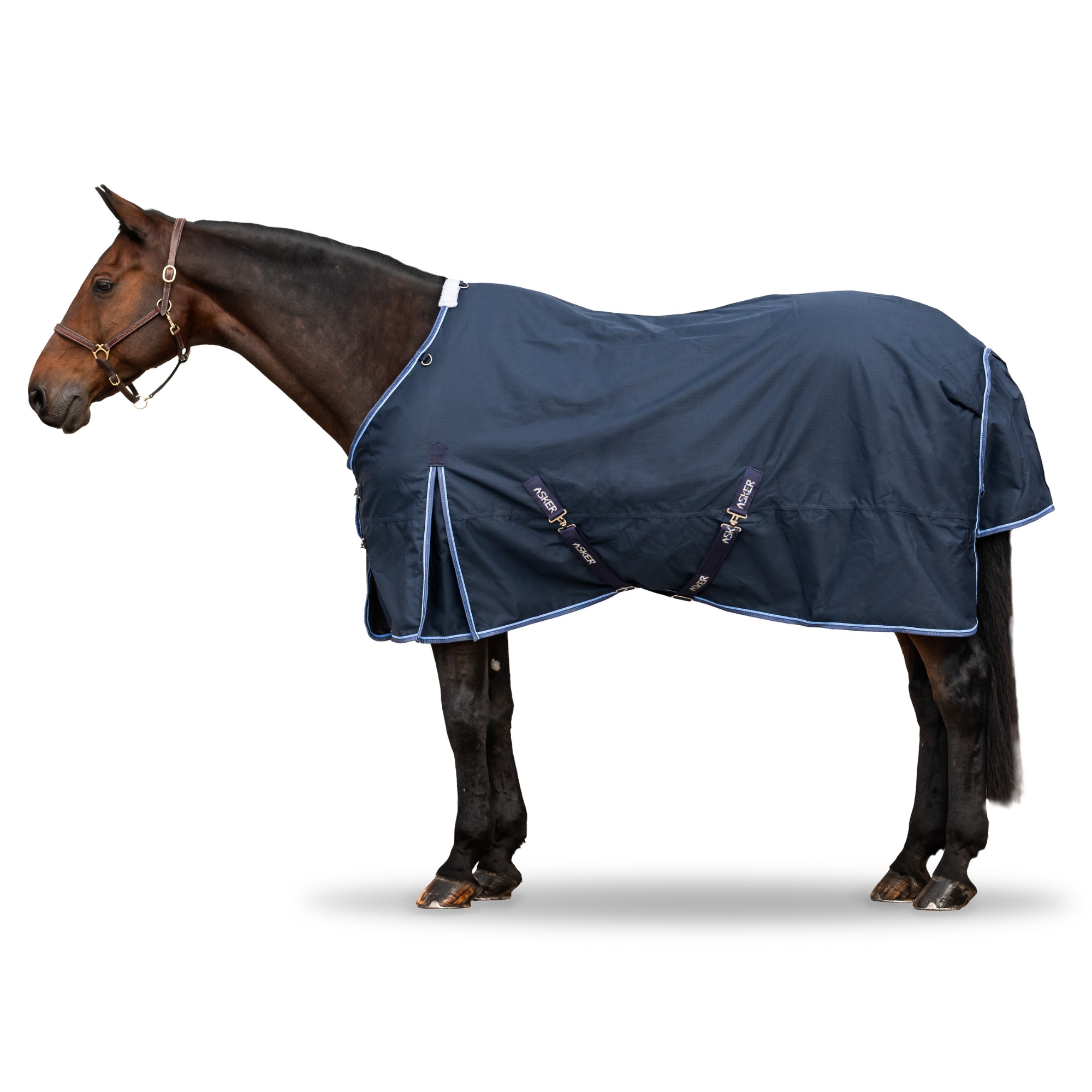 Asker TO Rug SN - 0g - Navy