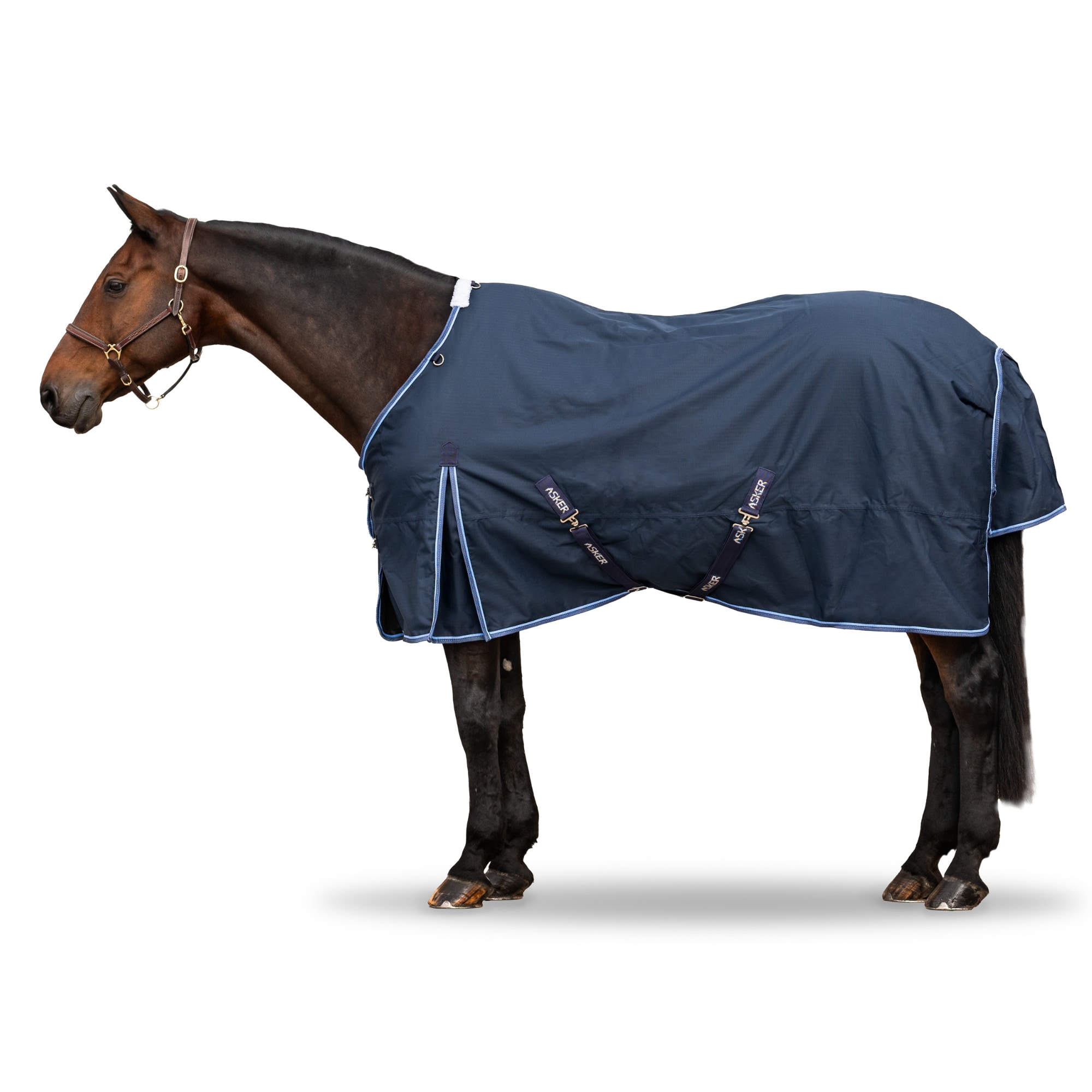 Asker TO Rug SN - 50g - N