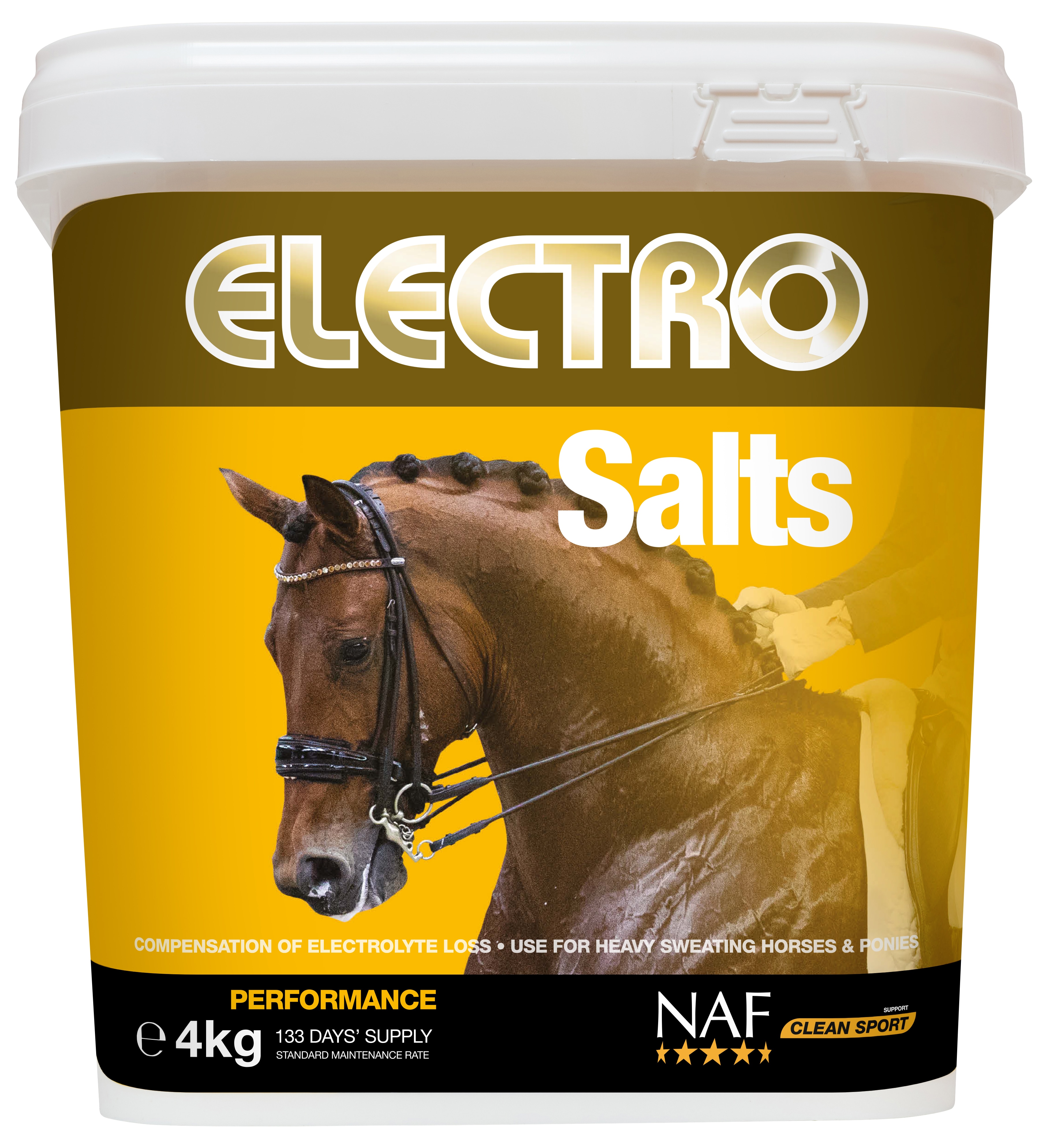 Electro Salter - 4kg