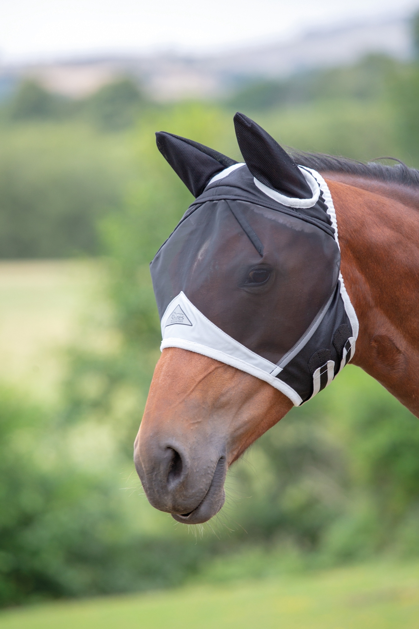 Open Forelock Fly Mask