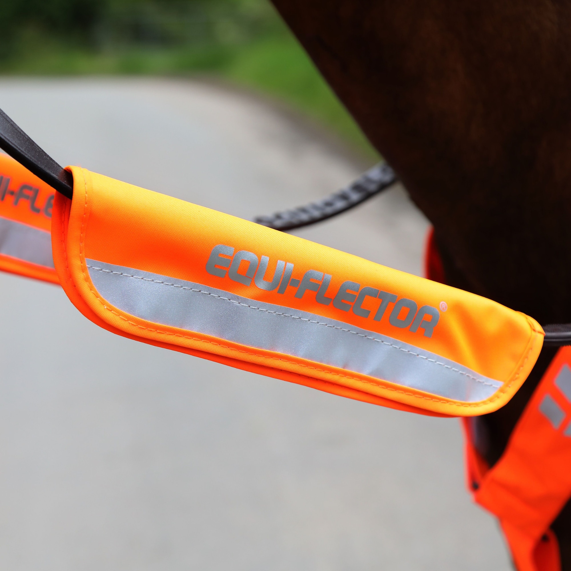 Rein Reflector - Orange