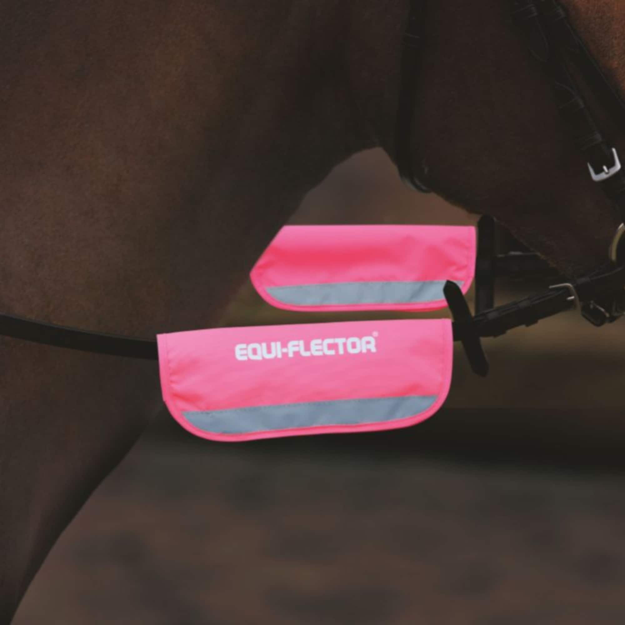 Reflective bridle/halter bands