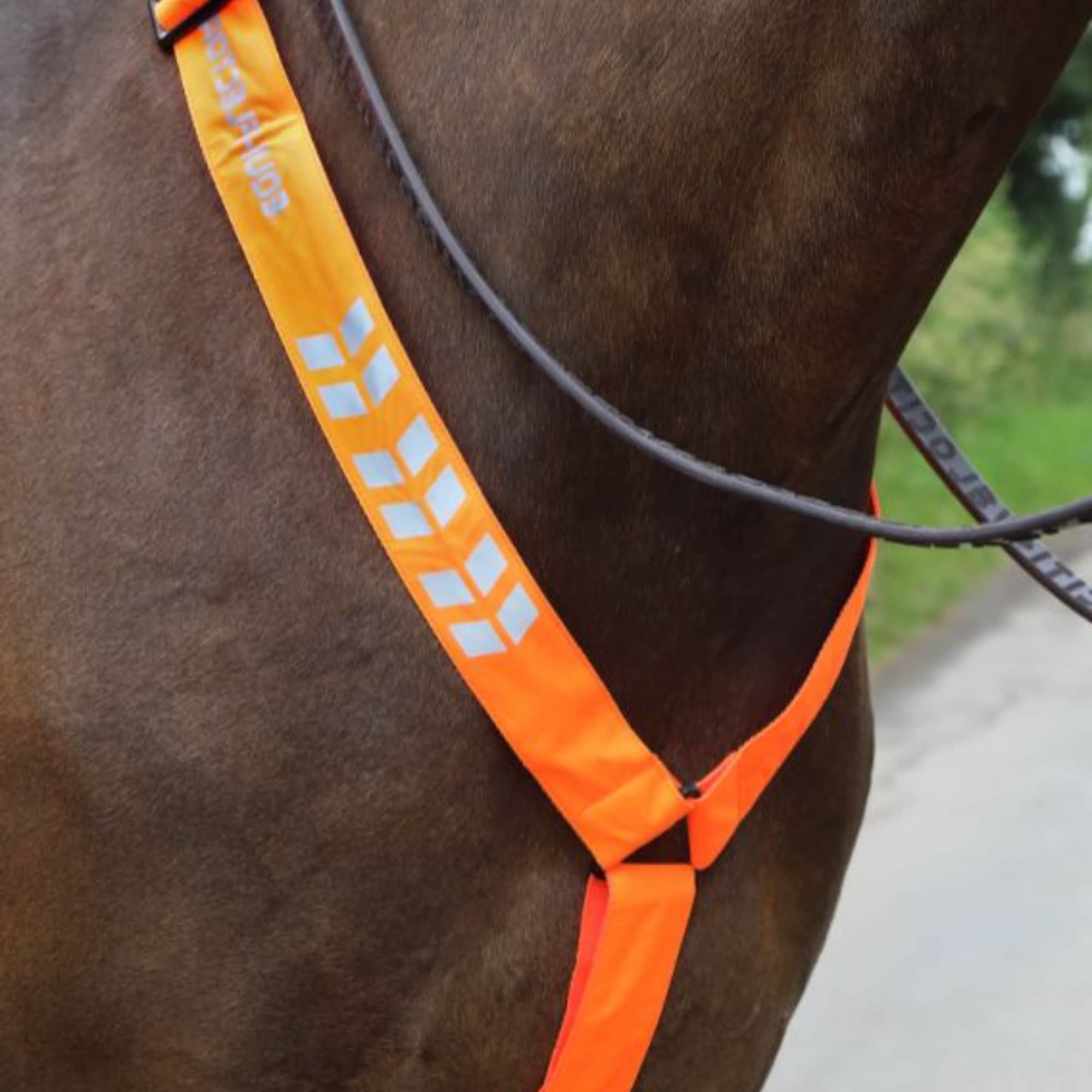 Reflexbrösta - Orange