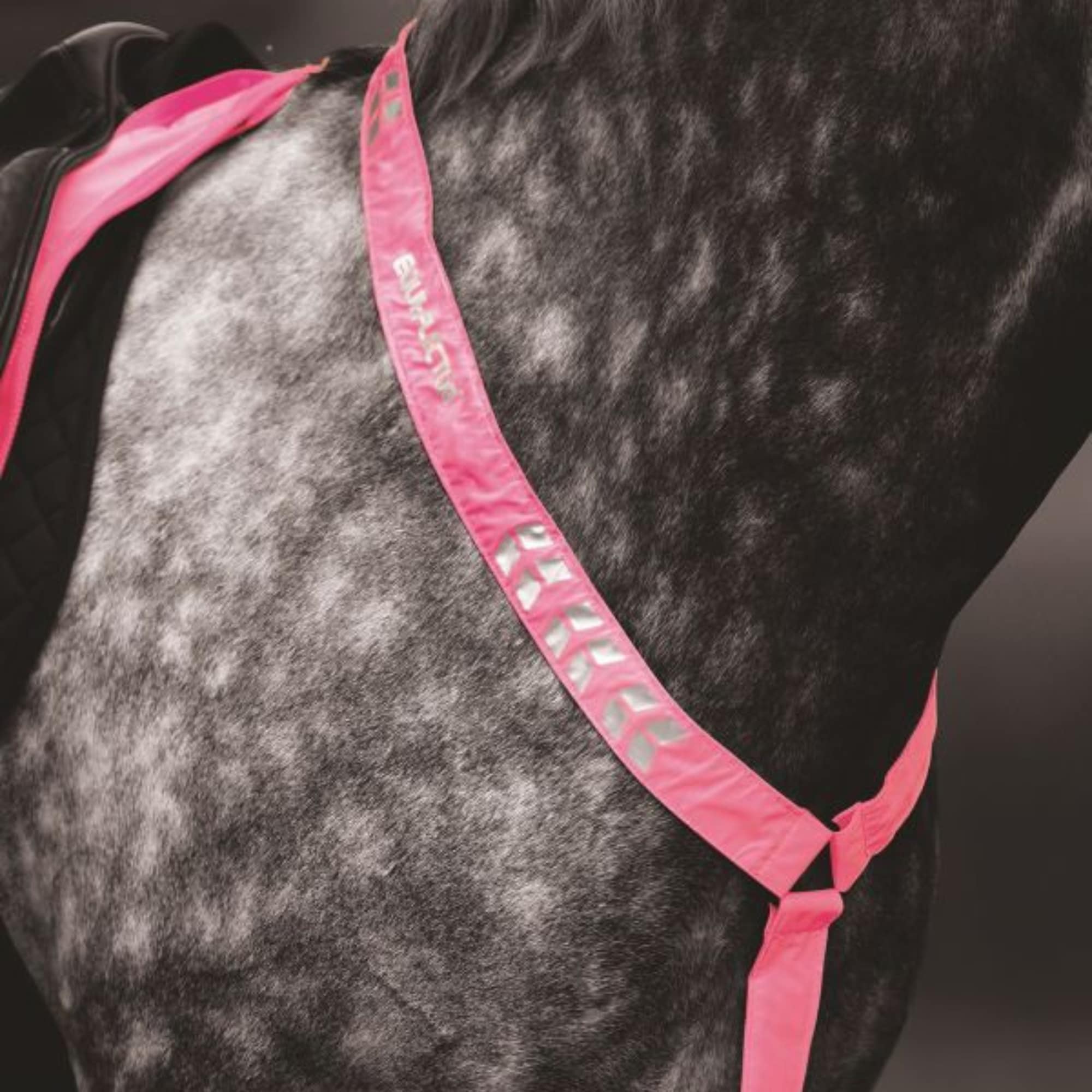 Reflective breastplate - Pink