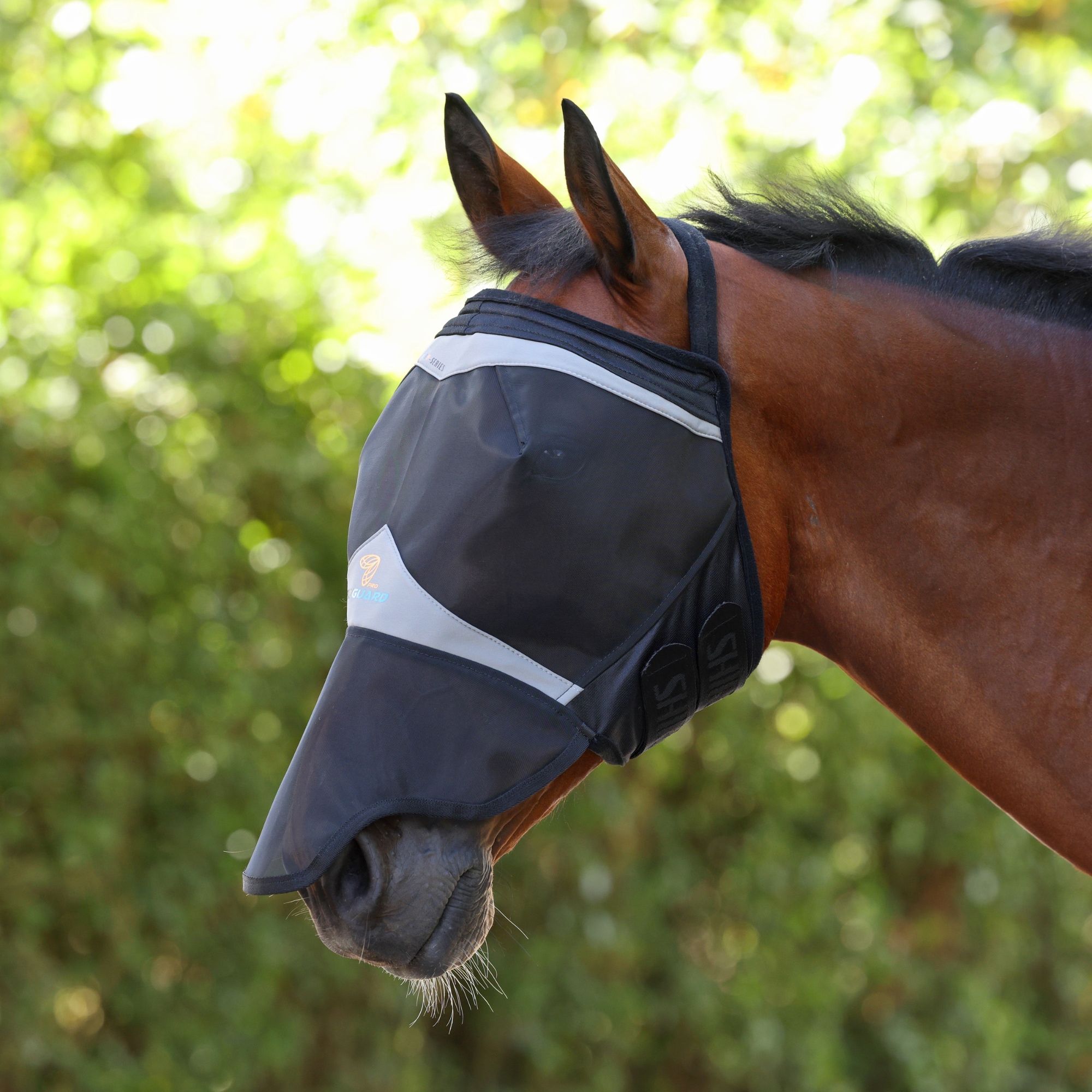 Fly Mask without Ears with Nose - Jet Black