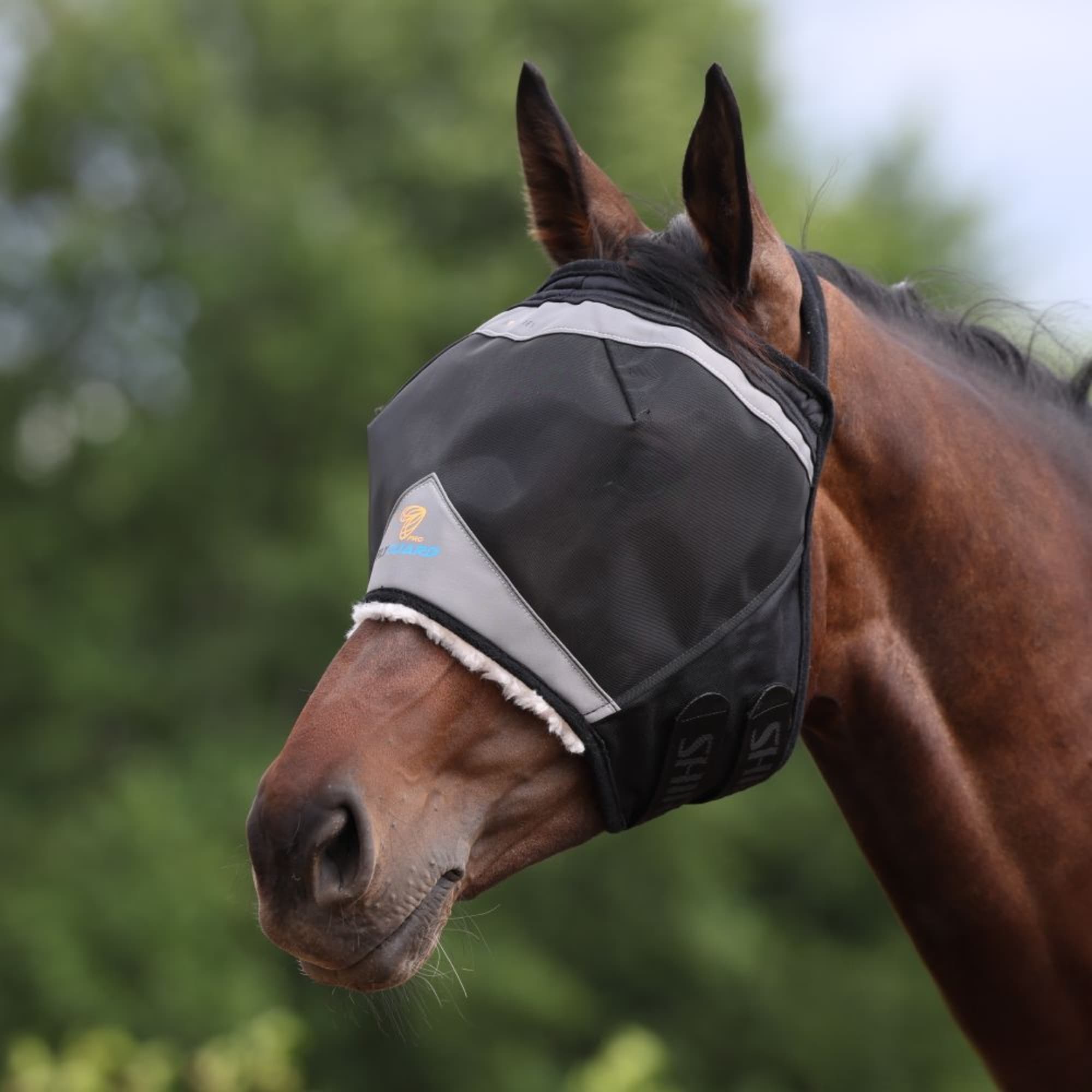 Fly Mask without Ears - Jet Black