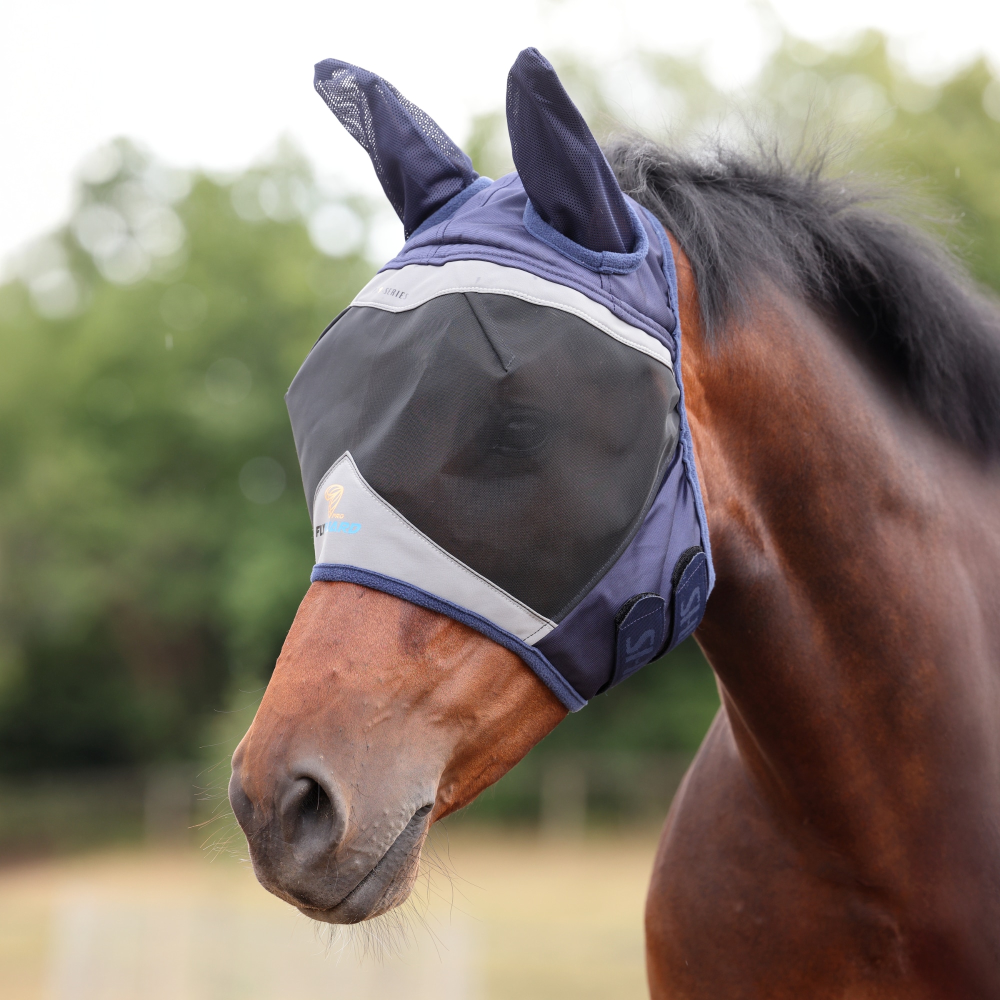 Flymask with Ears - Navy