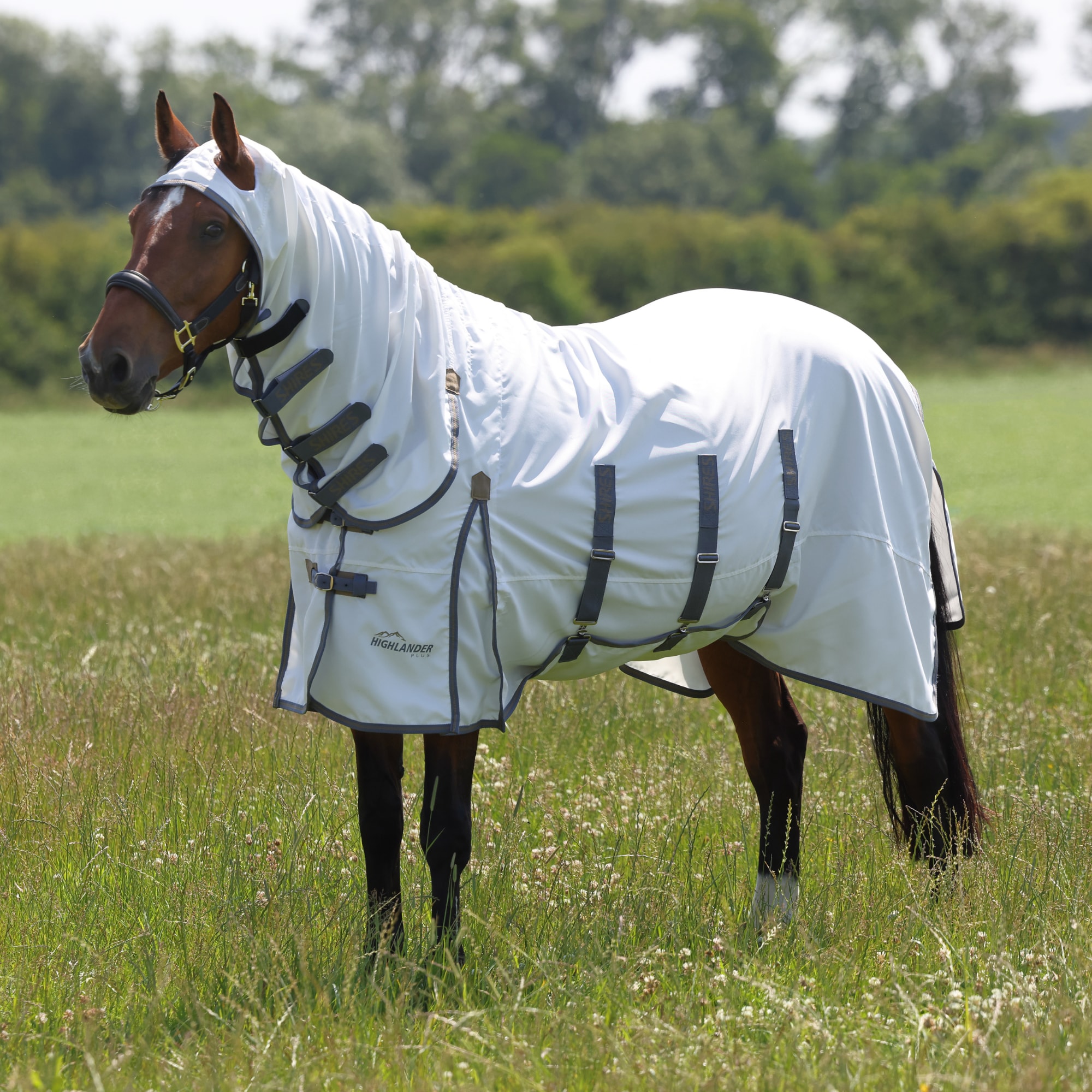 Highlander P Sweet Itch- and Fly Rug - White