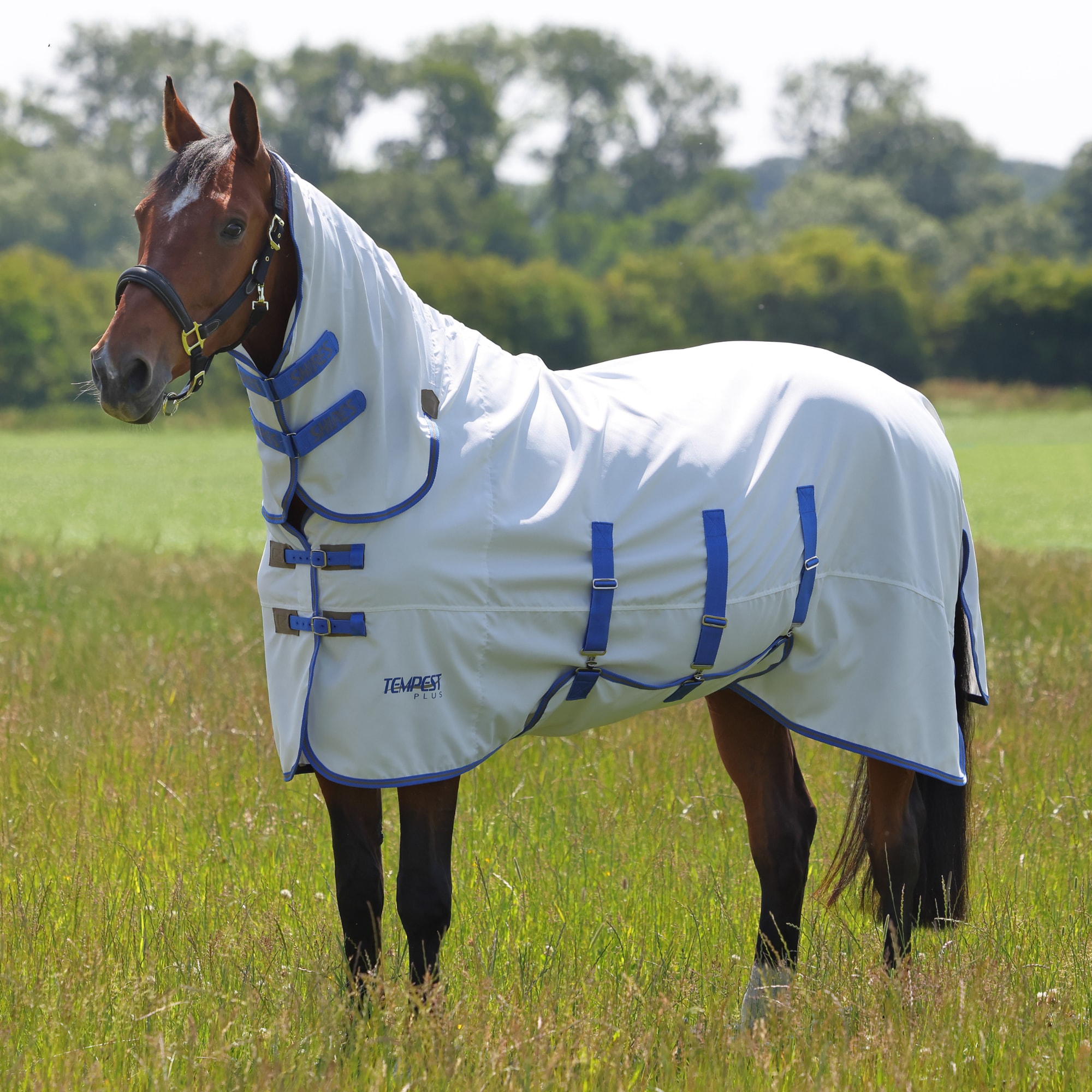 Tempest Sweet Itch- and Fly Rug - White