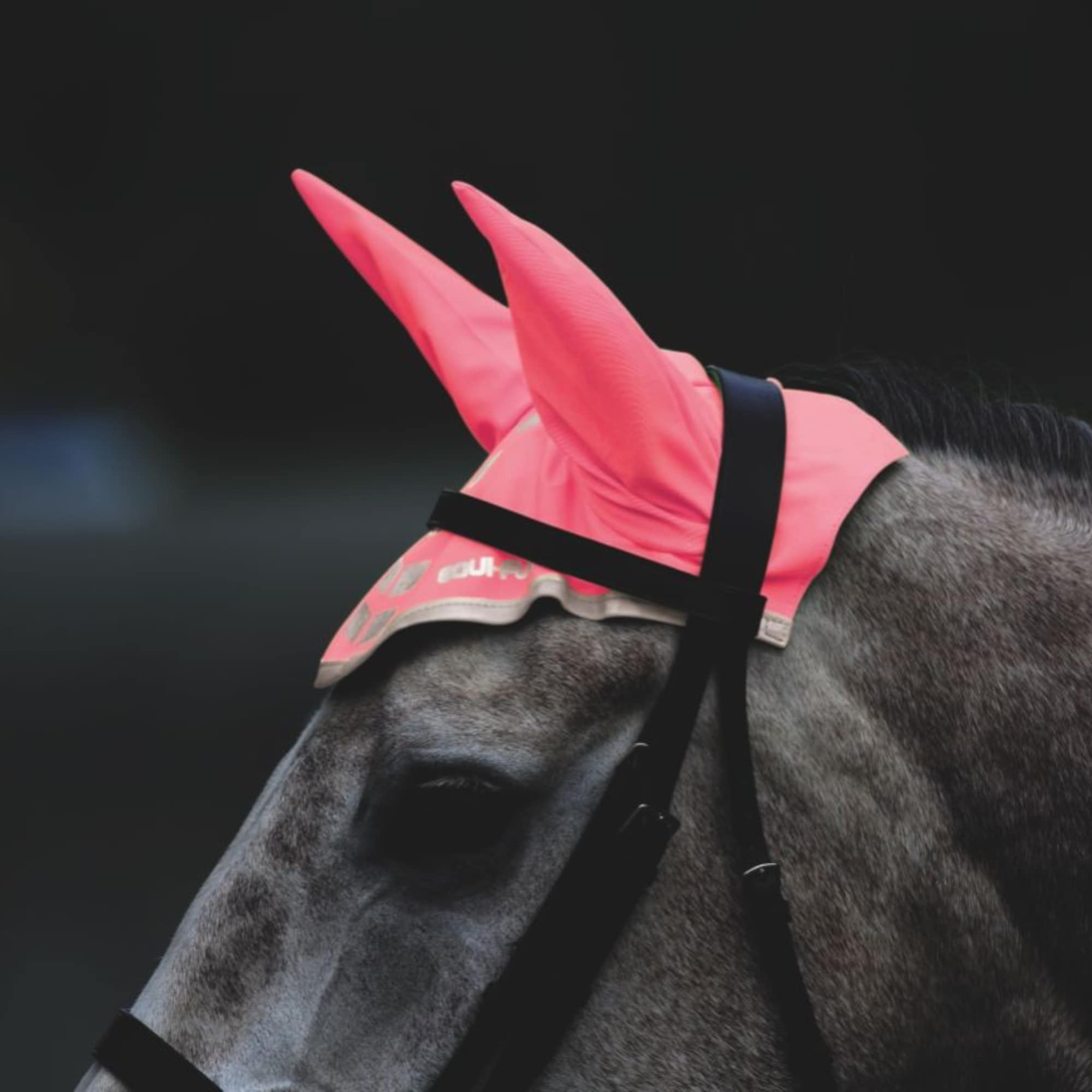 EQUI-FLECTOR® rosa reflexhuva