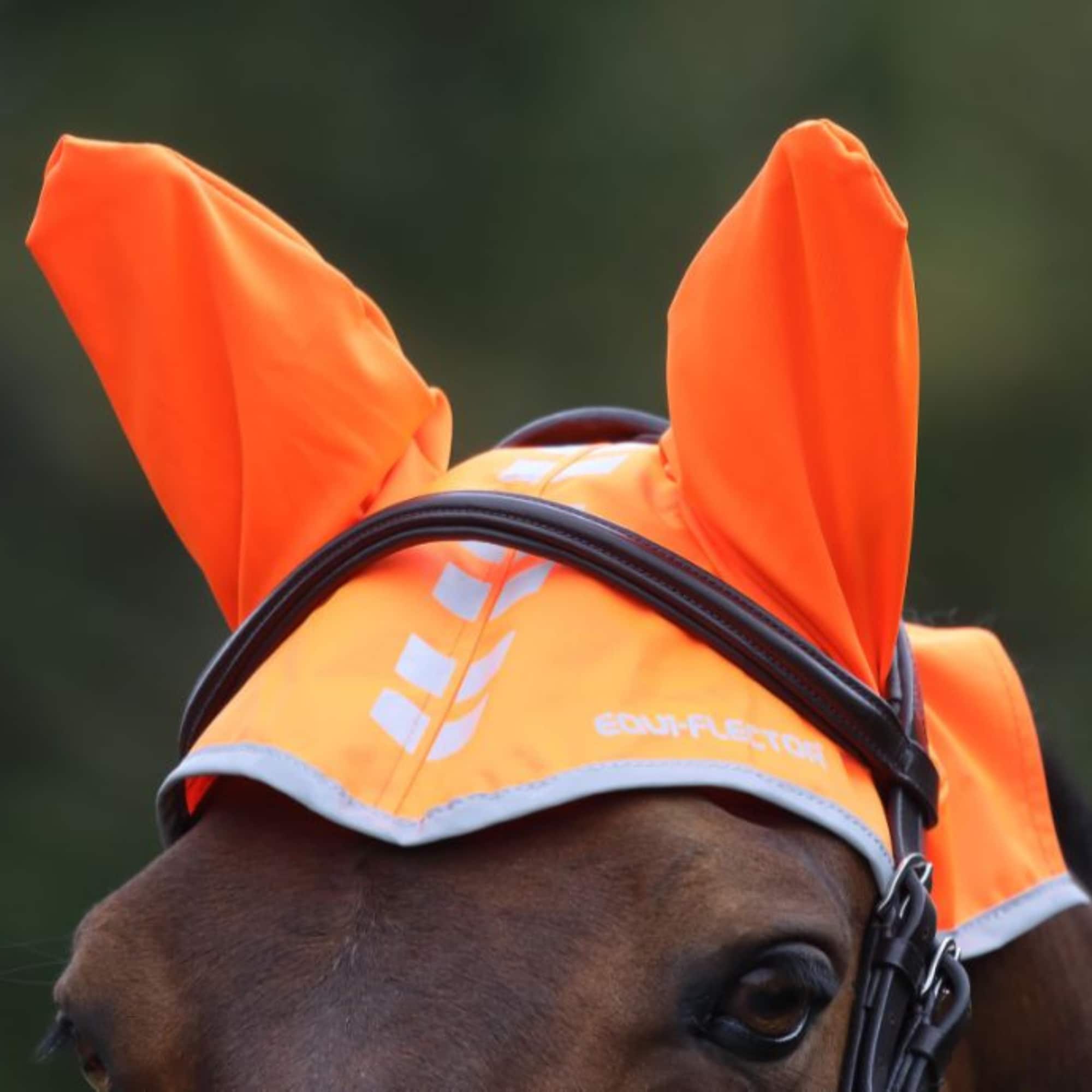 EQUI-FLECTOR® orange reflexhuva