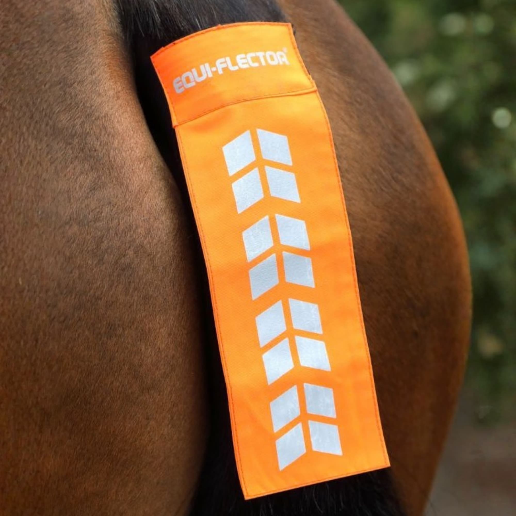 Svansreflex till häst i orange