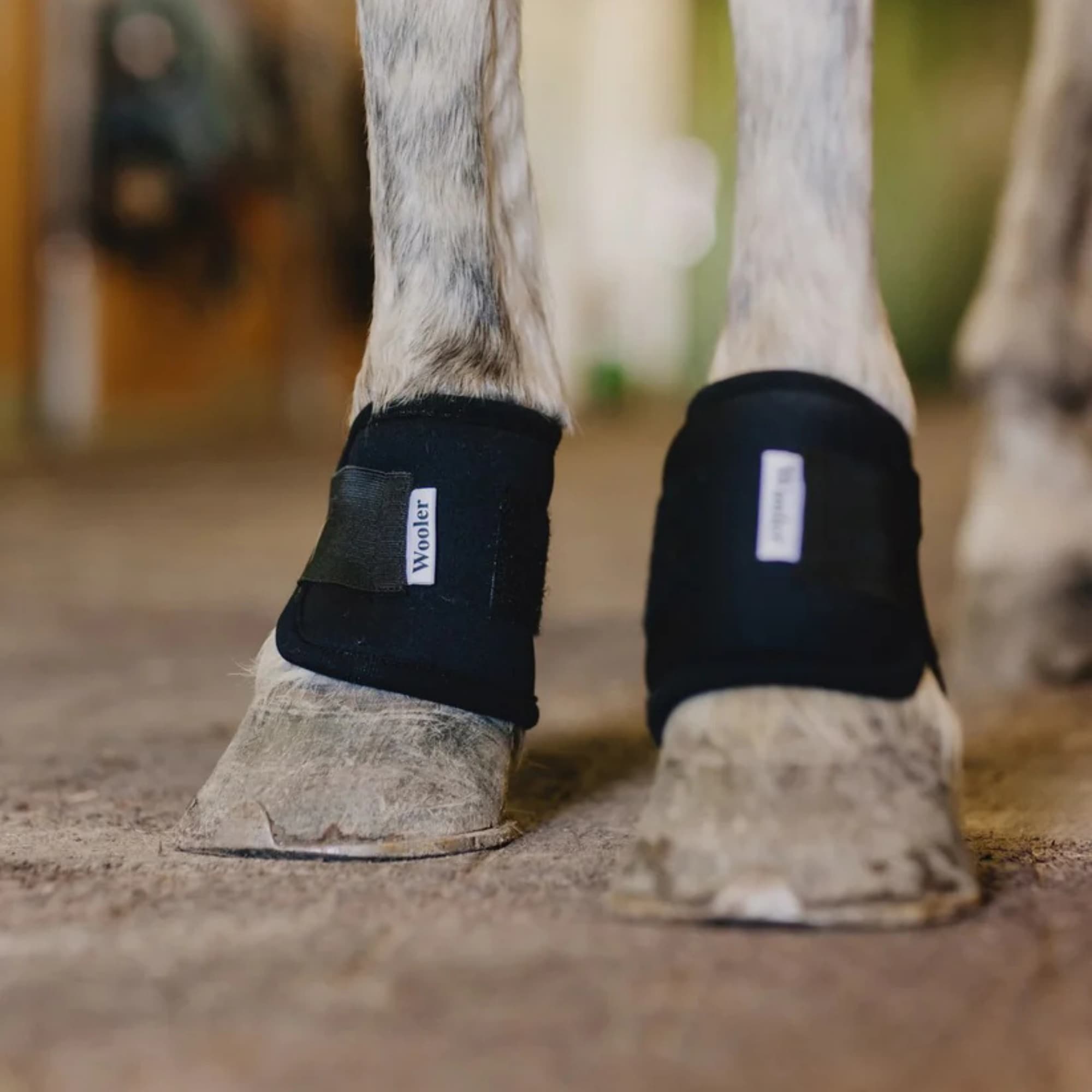 Wool Pastern Wraps