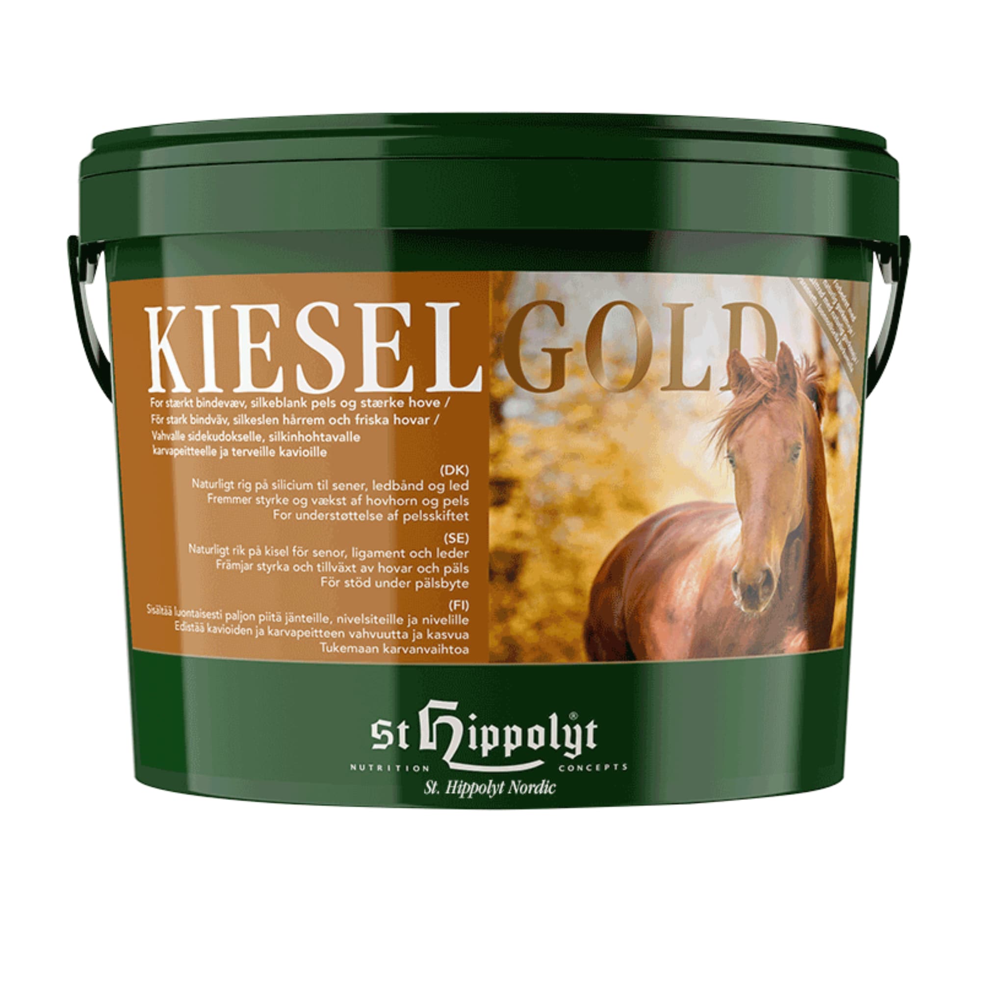 Kieselgold - 10 kg