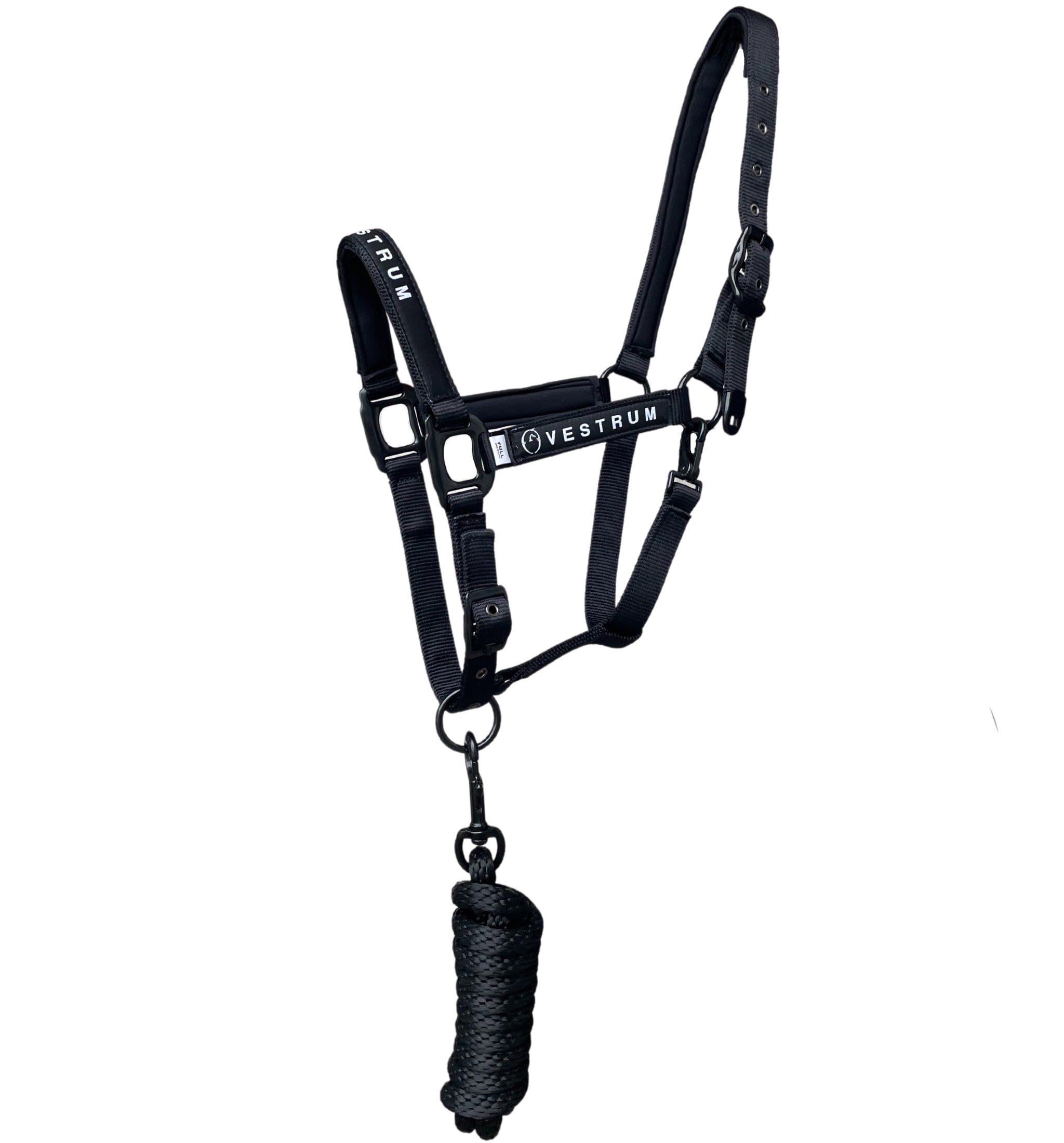 Locri Halter & Lead Rope - Black