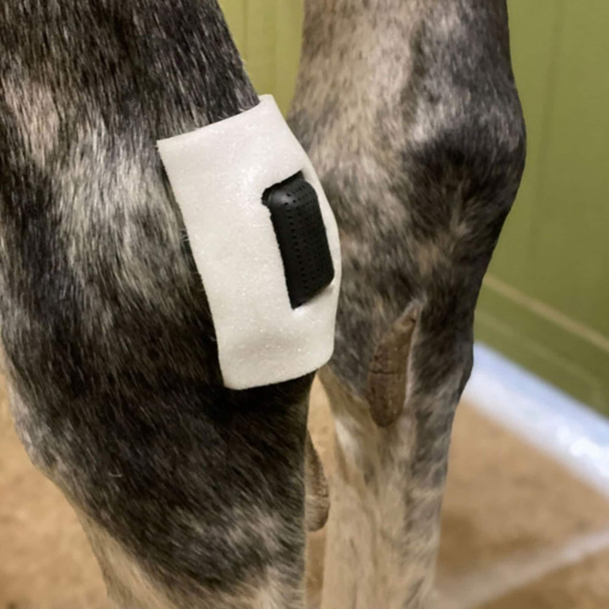 Rheva Extrafäste - Small