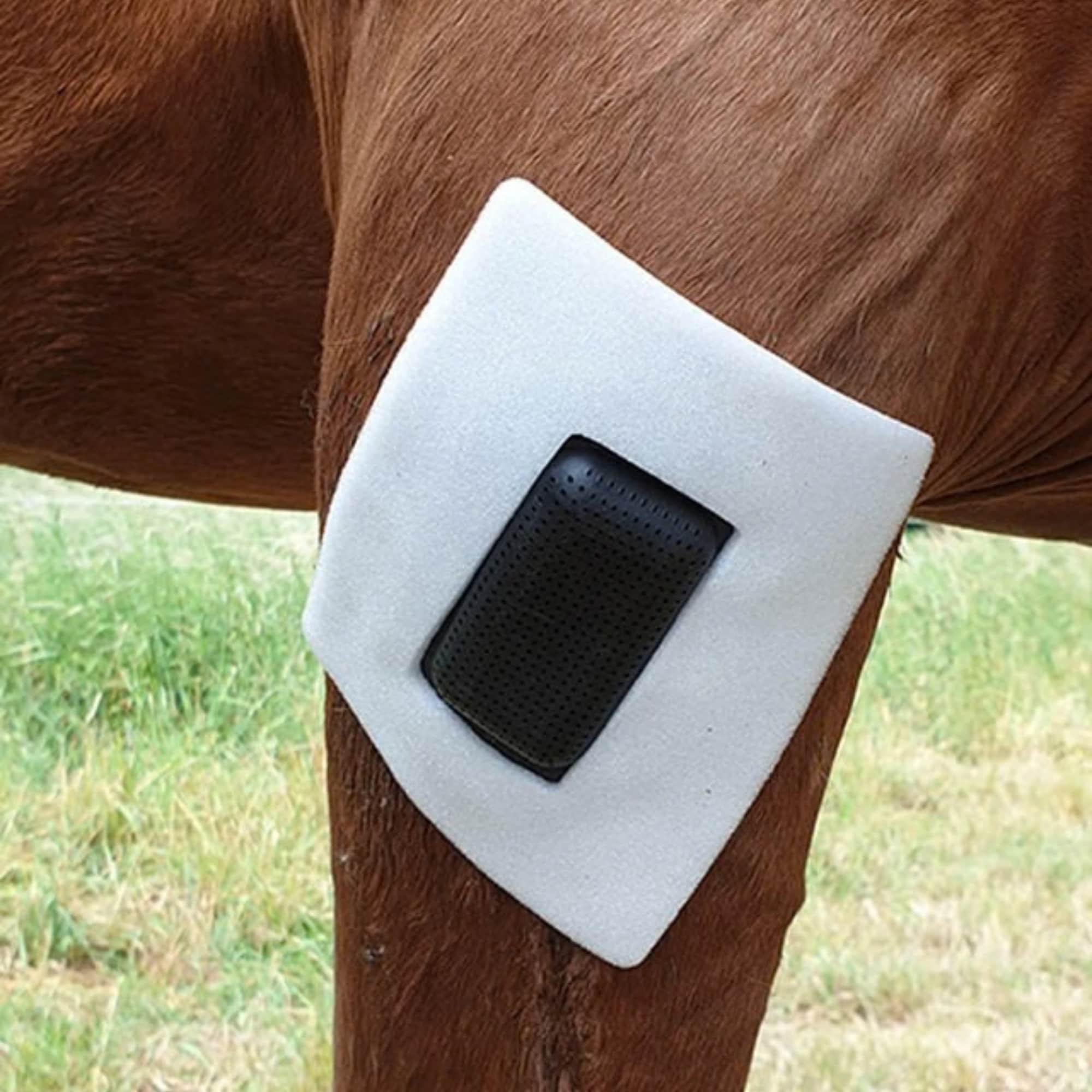 Rheva Extrafäste - Combi