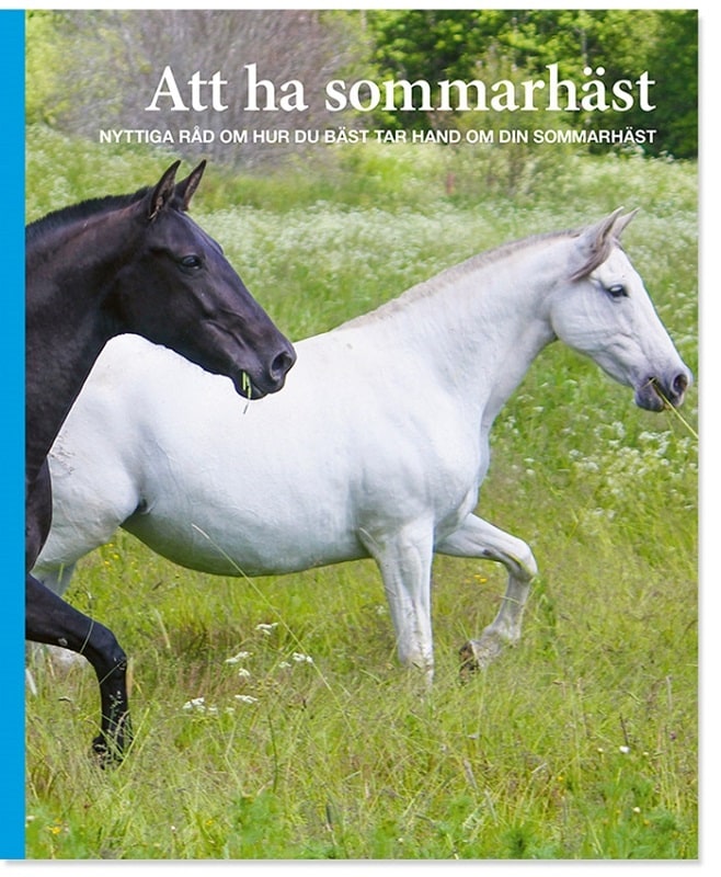 att-ha-sommar-häst-book