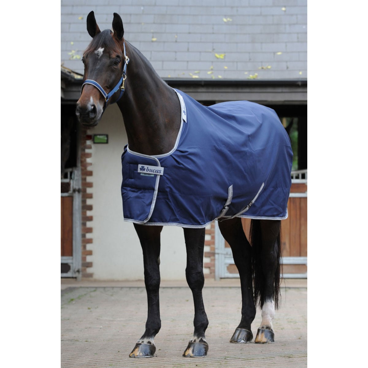 Celtic Stable 150 g - Navy